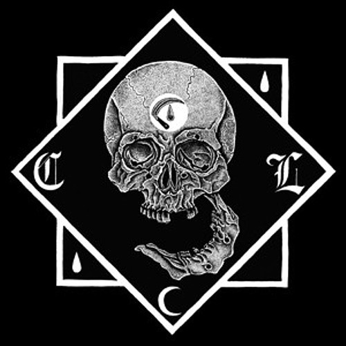 Cult Leader – Useless Animal (7″ VINYL) *TRANSPARENT GOLD* – PUNK *NEW/COLOR*