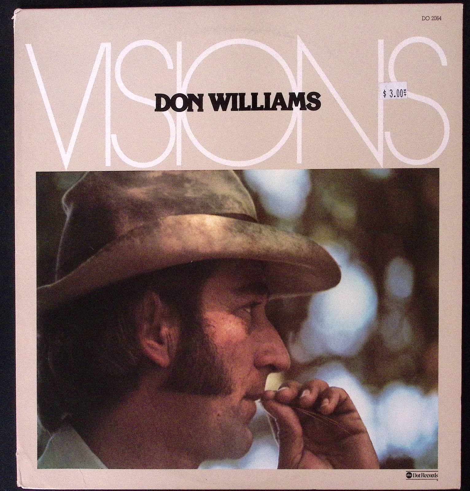 DON WILLIAMS VISIONS ABC DOT RECORDS VINYL 2LP 126-47W