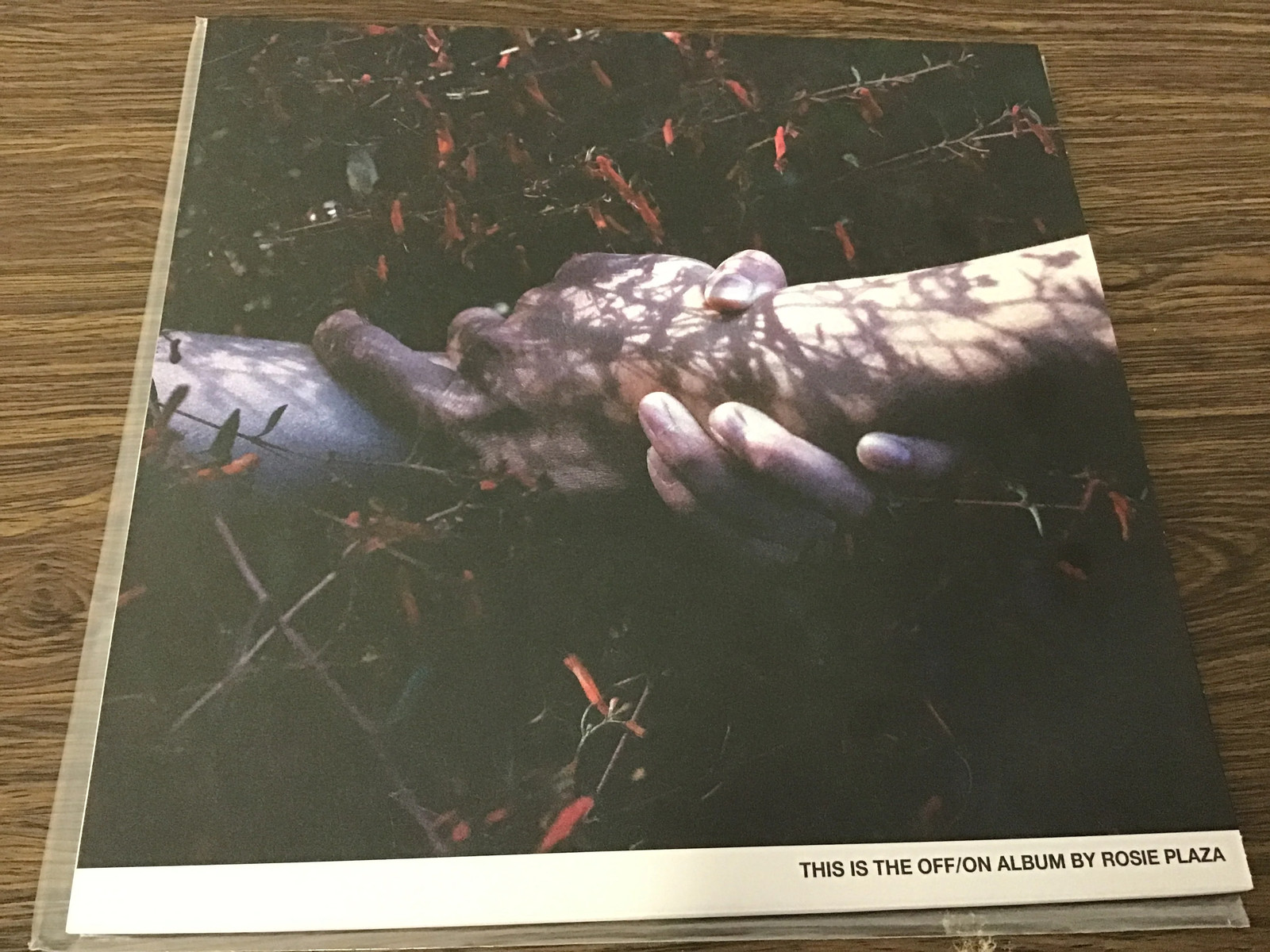 Rosie Plaza This is the off/on LP Vinyl Record Indie Rock Pop Music