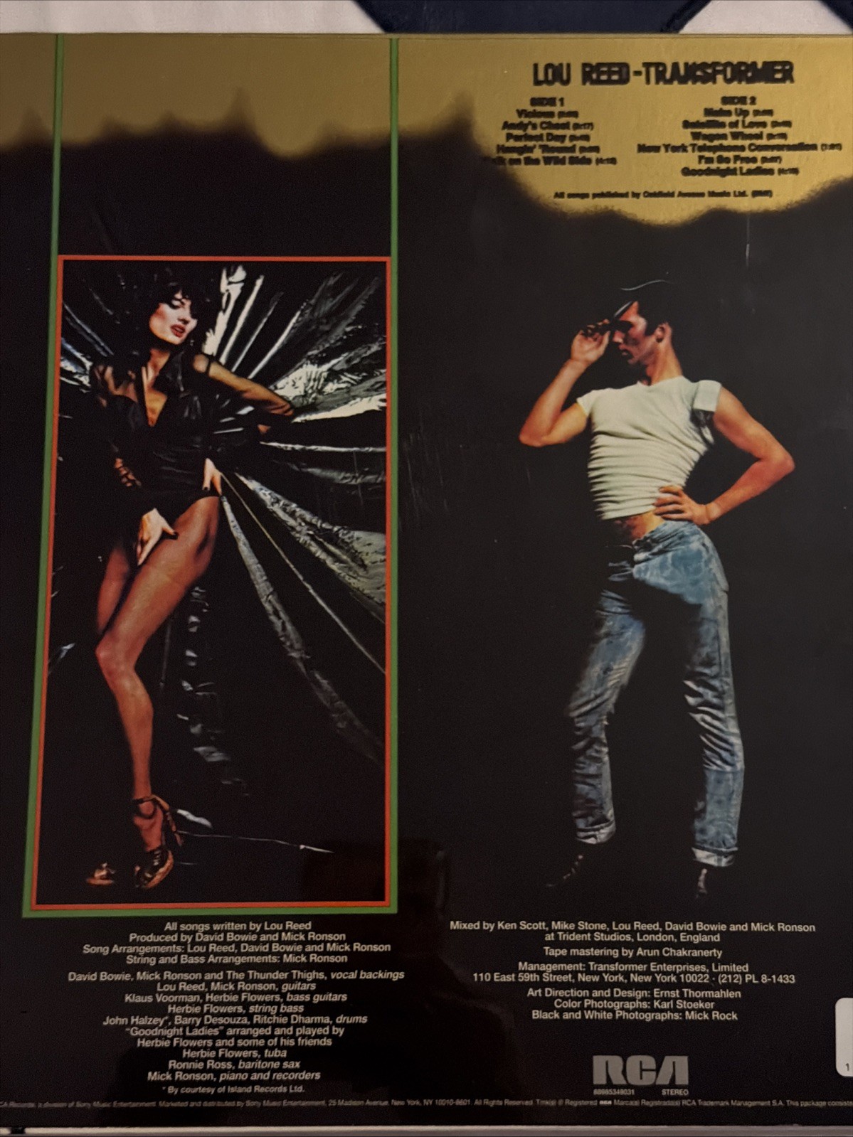 Transformer-Bronze by Lou Reed (Record, 2023)
