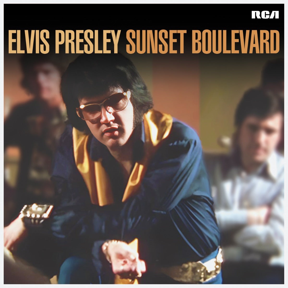 Elvis Presley Sunset Boulevard [2LP] Records & LPs New