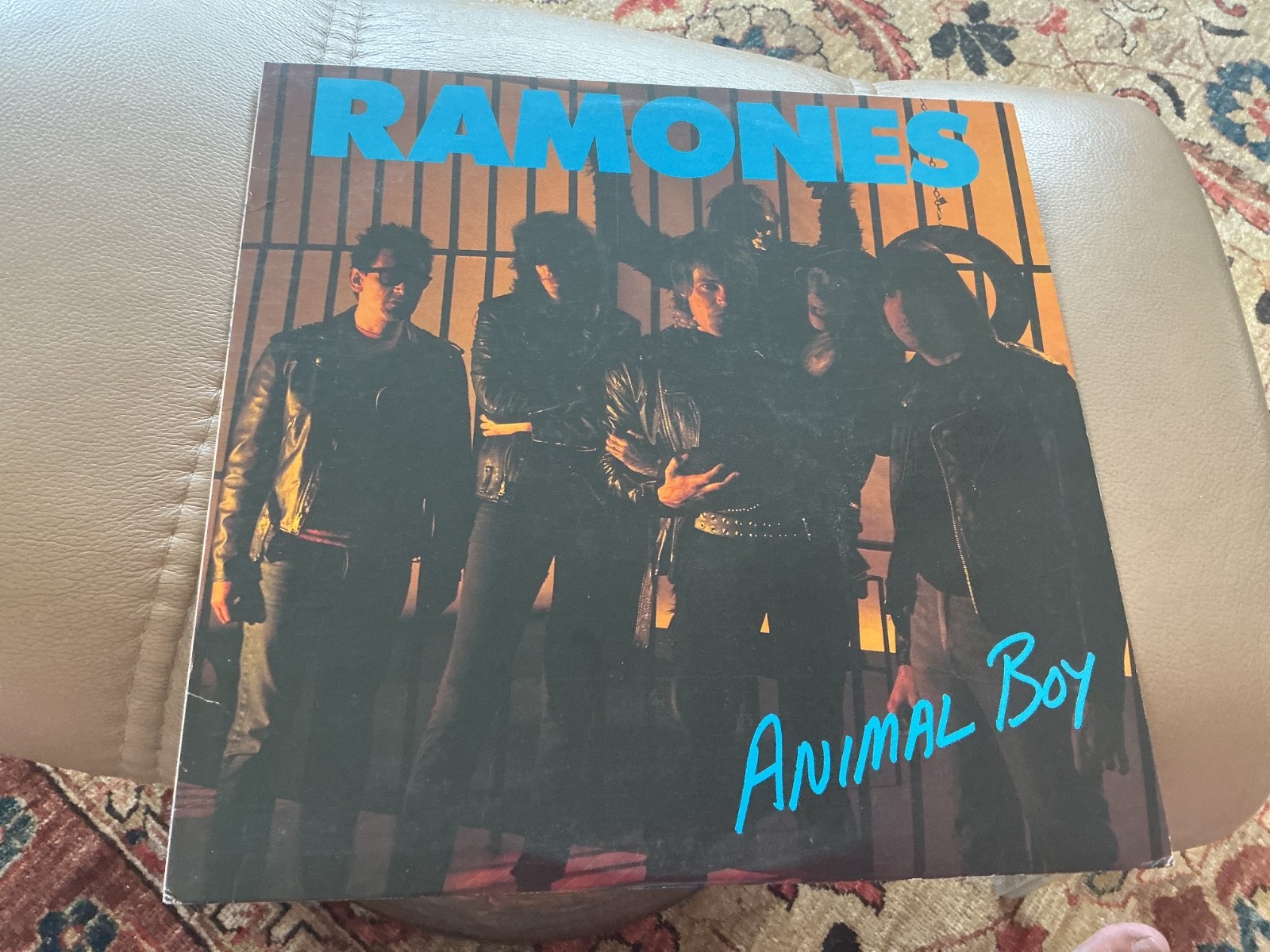 Ramones orig punk LP Animal Boy, Sire US 1986, transluscent, free ship
