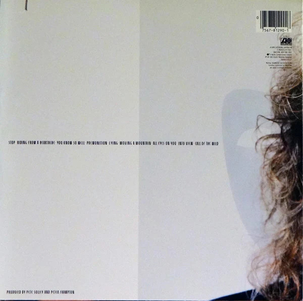 Peter Frampton – Premonition
