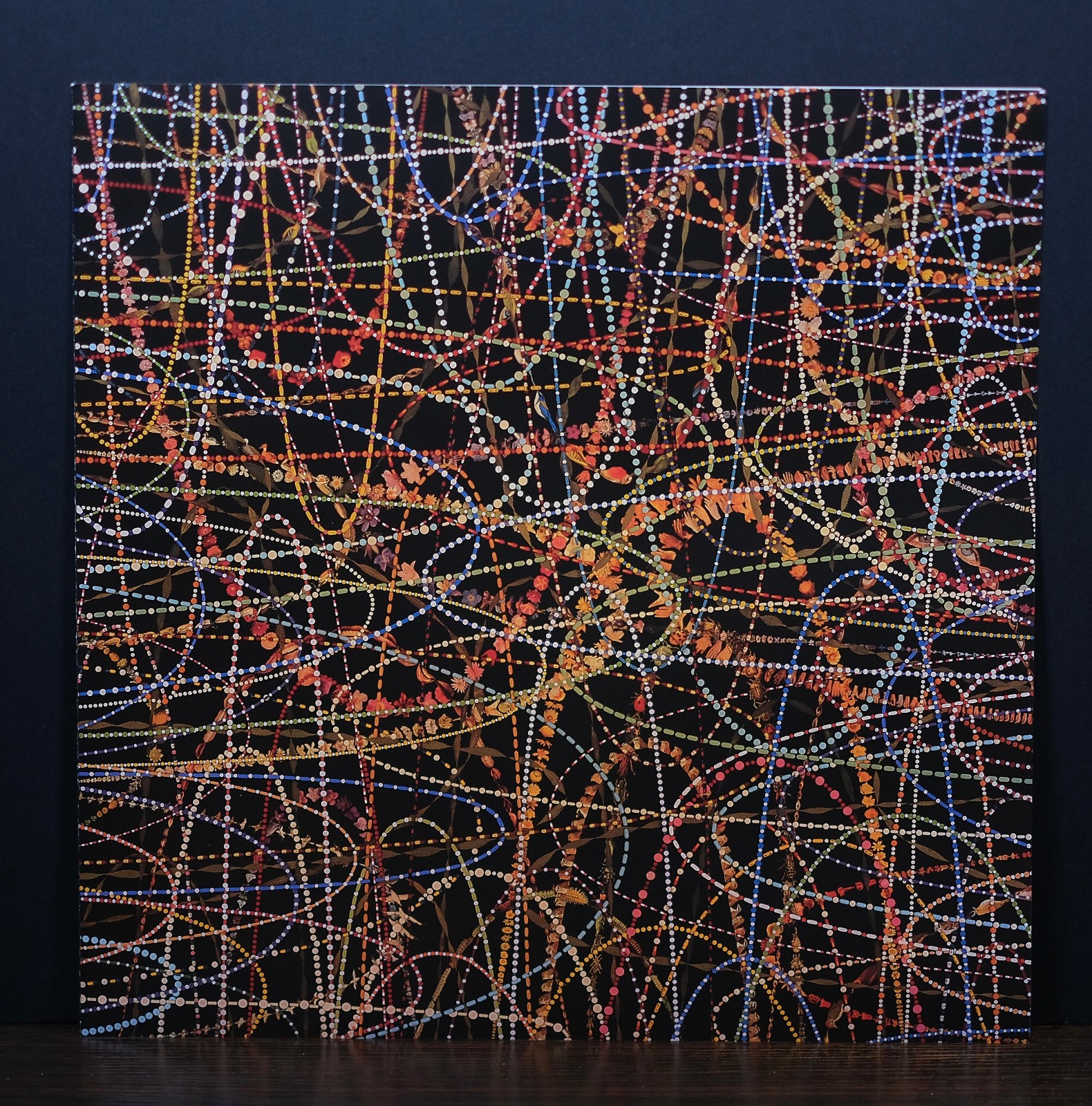 The Magentic Fields – i – Record Store Day Vinyl