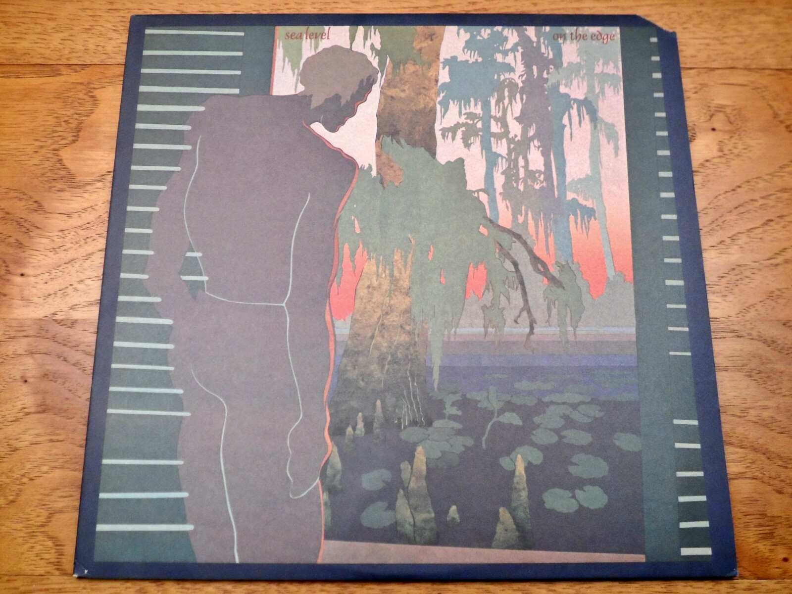 Sea Level ♫ On The Edge ♫ 1978 Capricorn Records Original Vinyl LP w/Insert 🔥