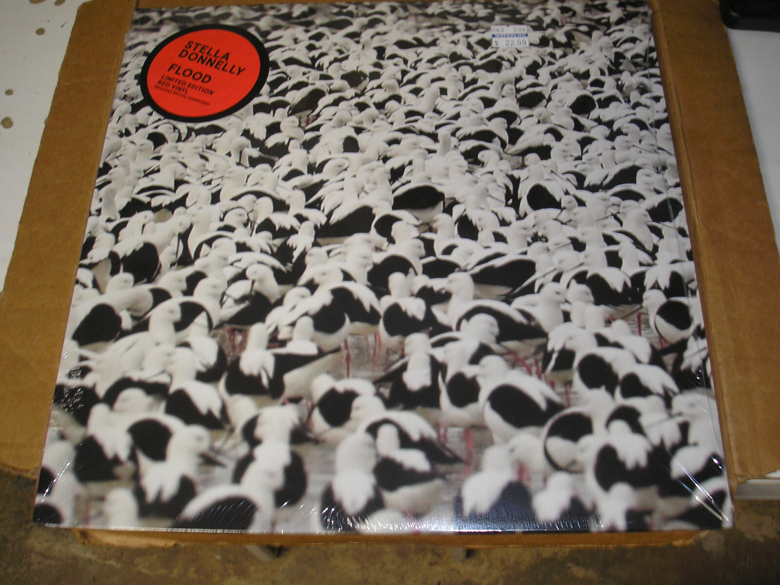 Stella Donnelly – Flood LP new sealed Secretly Canadian red vinyl indie rock pop