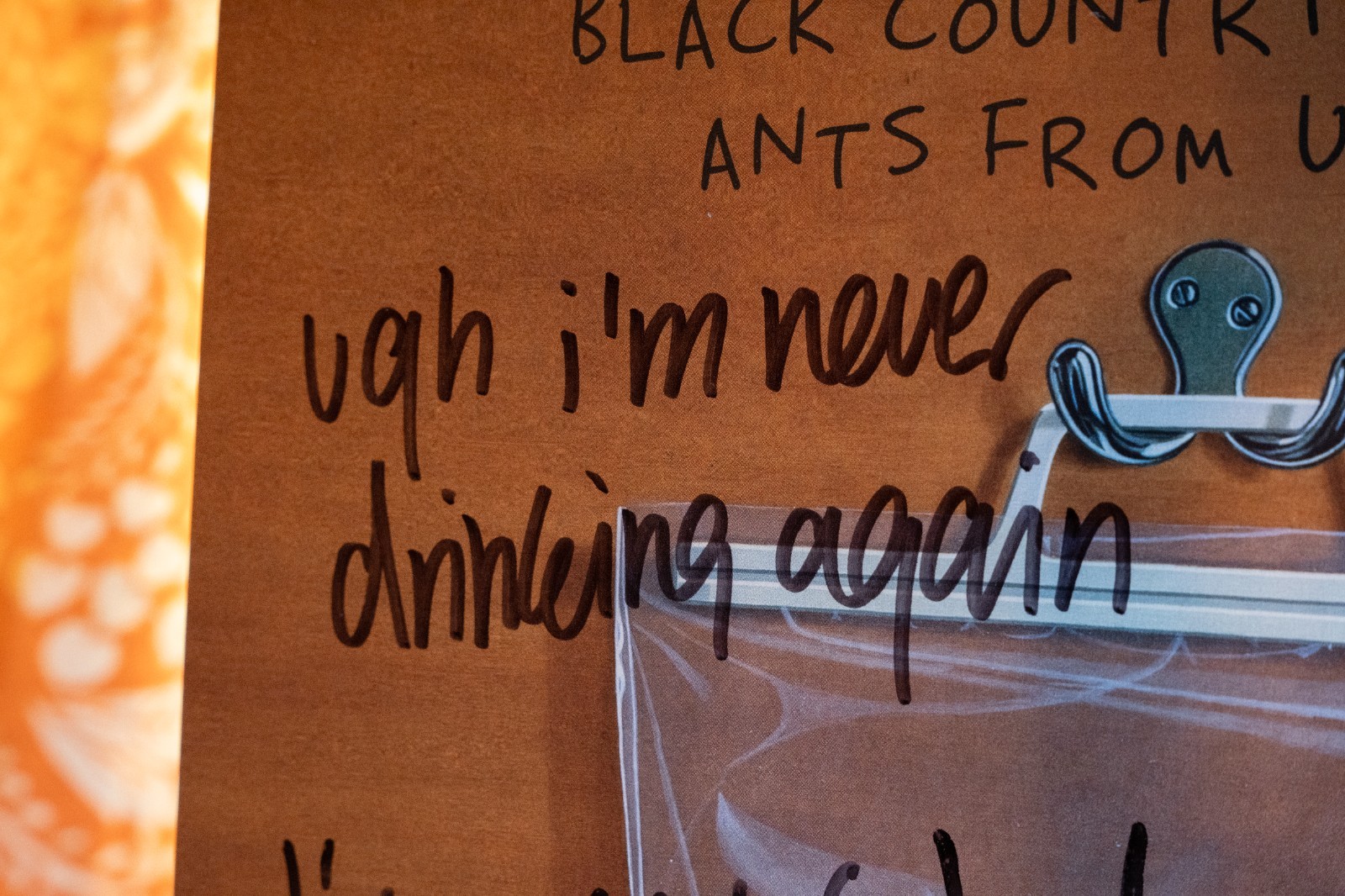 SIGNED Black Country New Road Ants From Up There BANANA BREAD vinyl FATHER JOHN