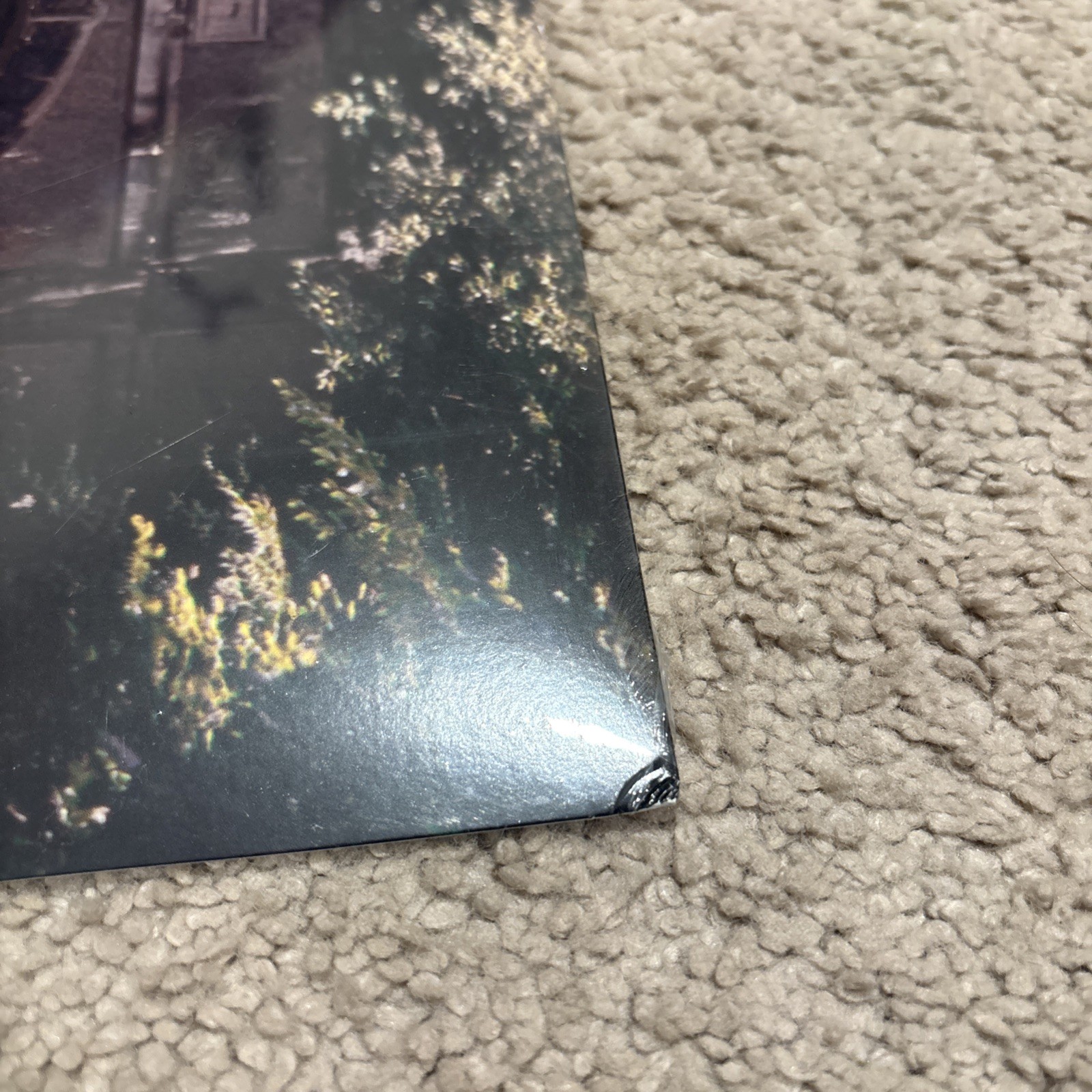 The Backseat Lovers – When We Were Friends – Galaxy Colored Vinyl LP New Read