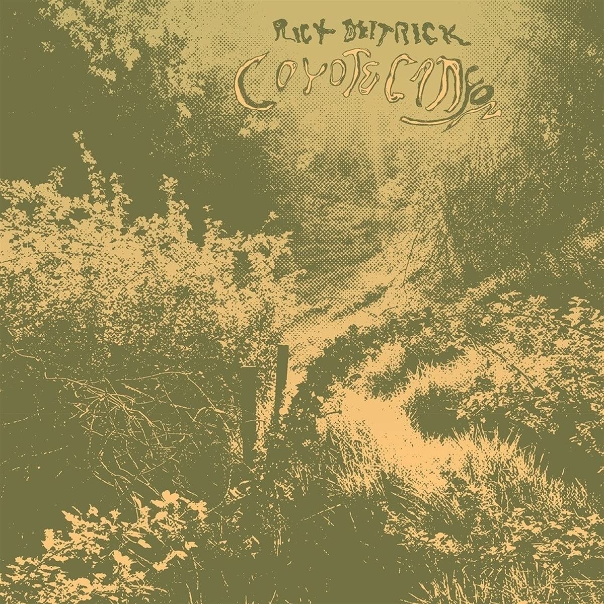 Deitrick Coyote Canyon Lp New