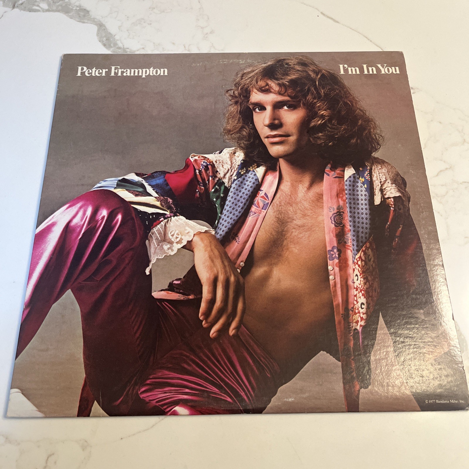 I’m in You by Peter Frampton (Vinyl, A&M (USA)) VG++