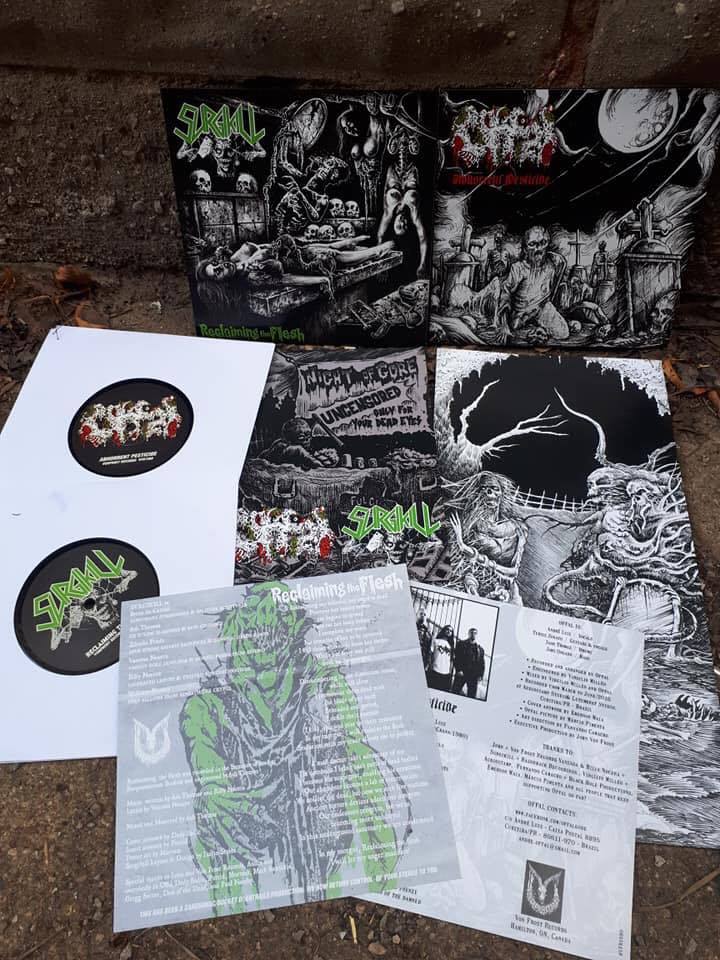 SURGIKILL / OFFAL – Split EP Carcass General Surgery Autopsy Putrid Offal