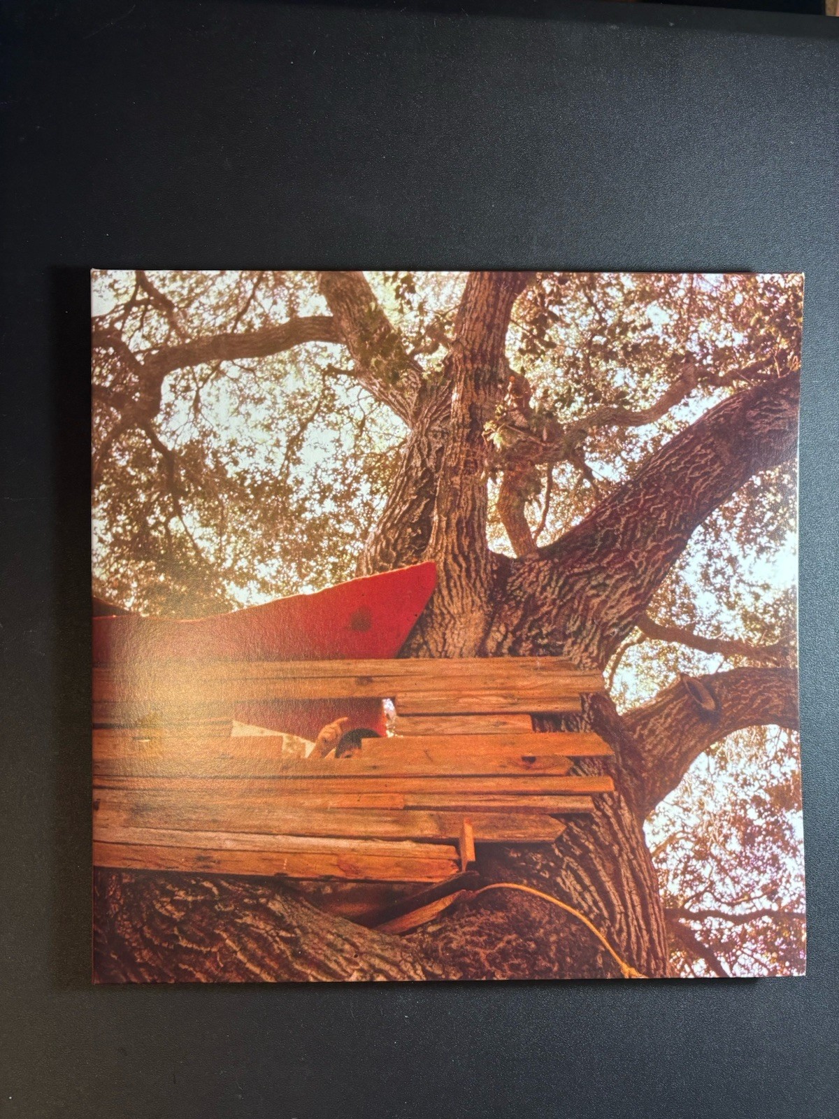 The Backseat Lovers Vinyl Waiting to Spill Includes Poster!