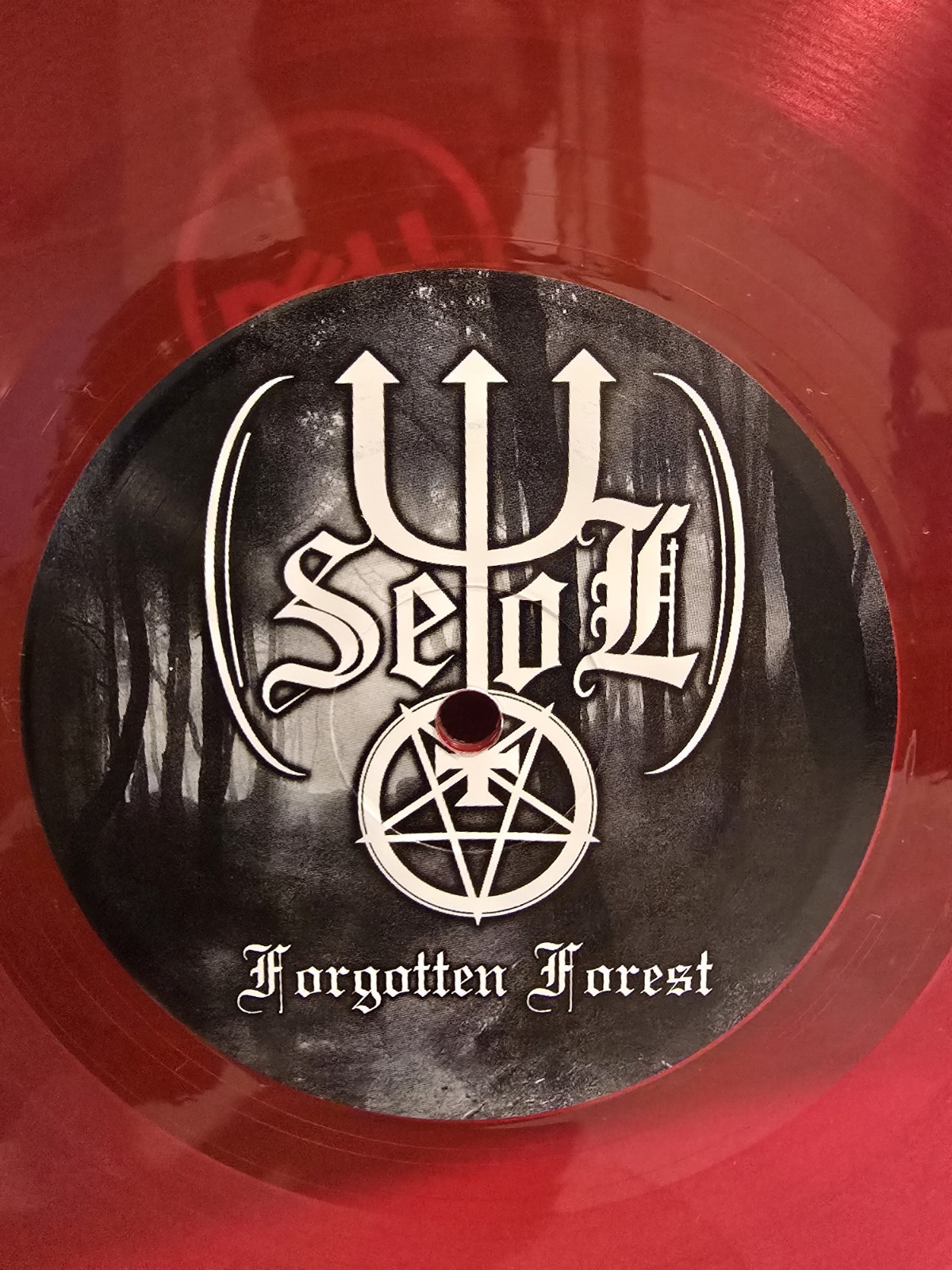 SEOL – Forgotten Forest. 12″ Vinyl