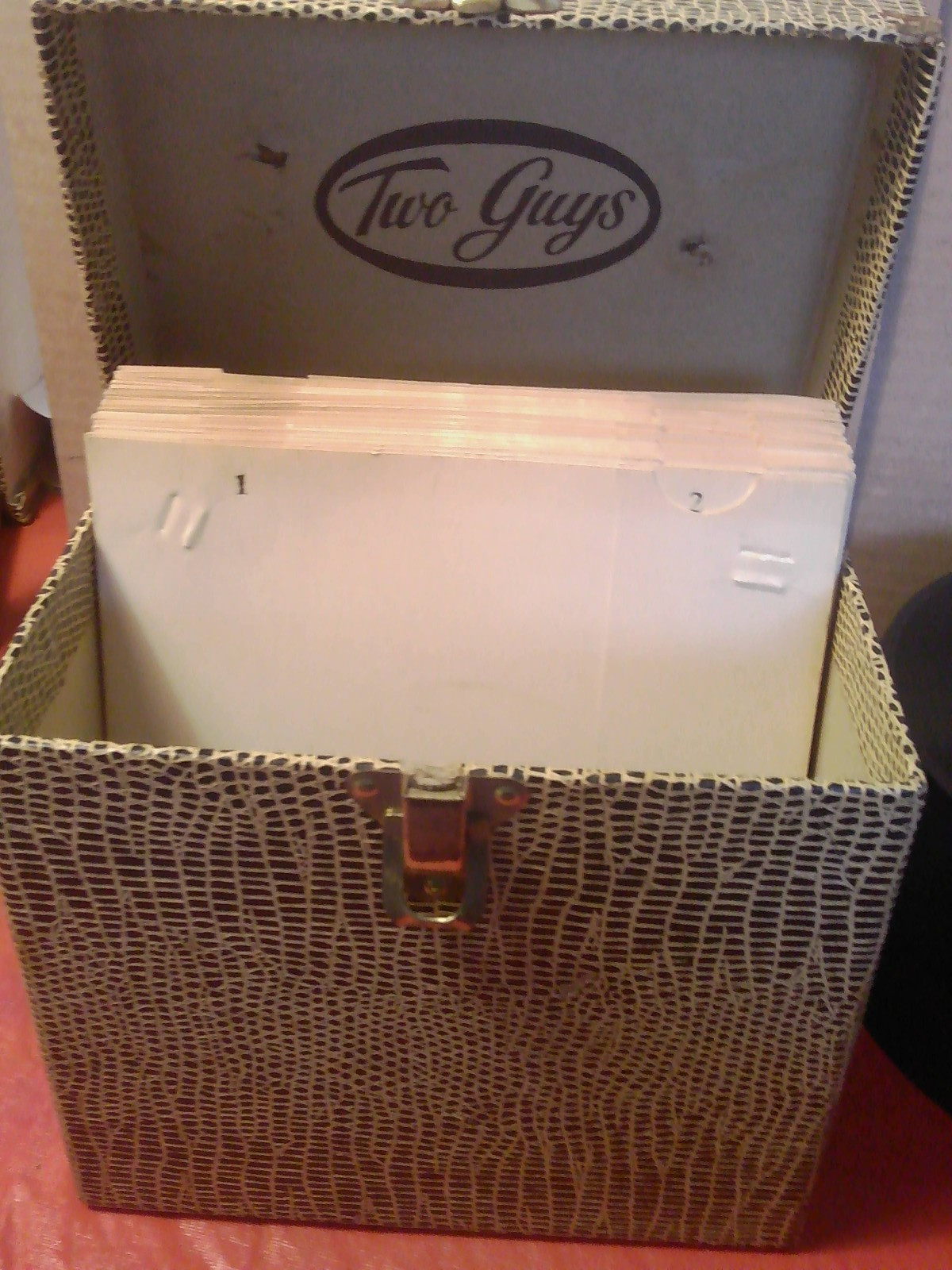 Faux Snakeskin 45 RPM CASE & (50) 1950’s-60’s Doo Wop R & B 45’s See Photos