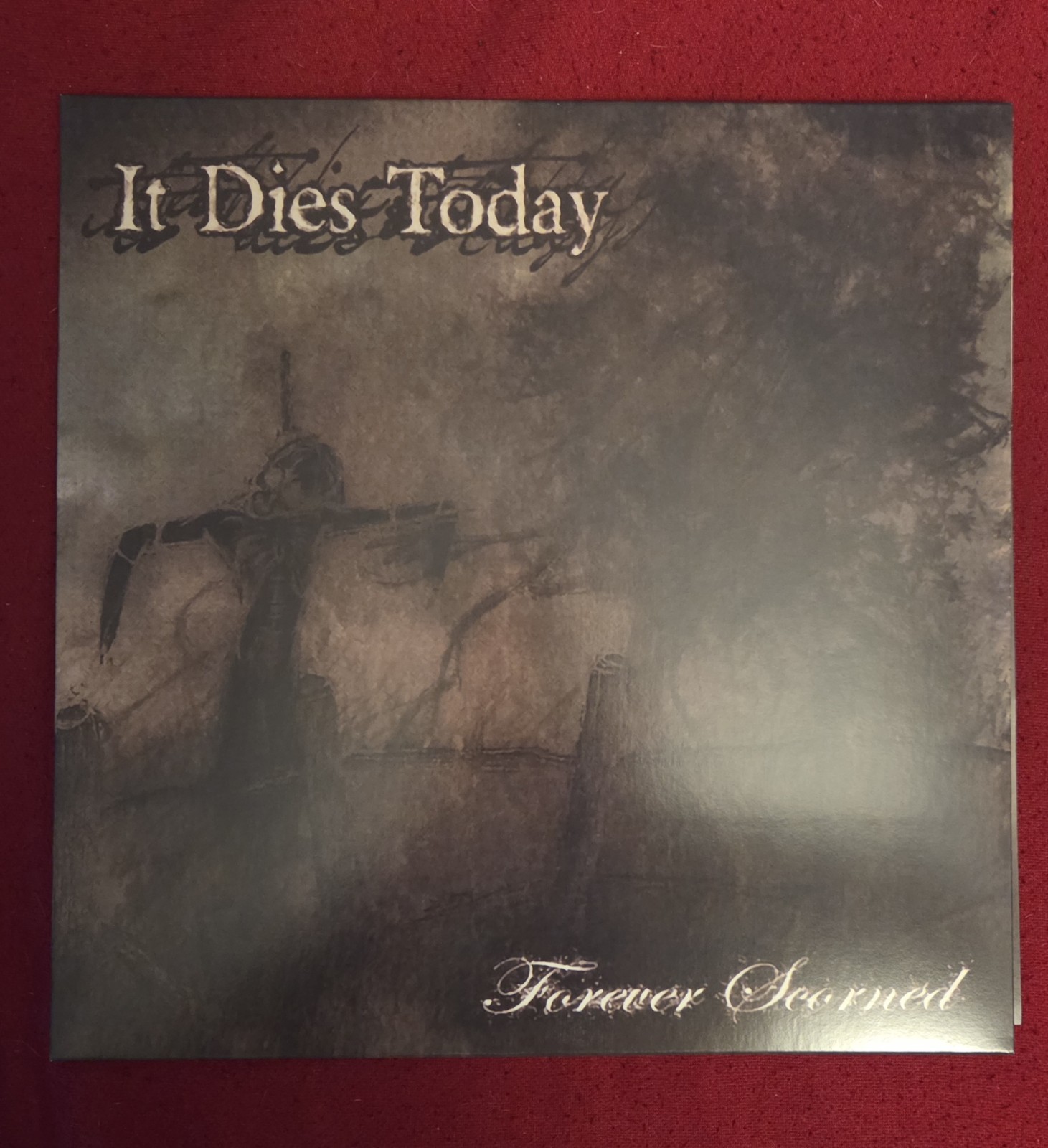 Forever Scorned It Dies Today Limited Edition Half Clear Yellow Half Purple