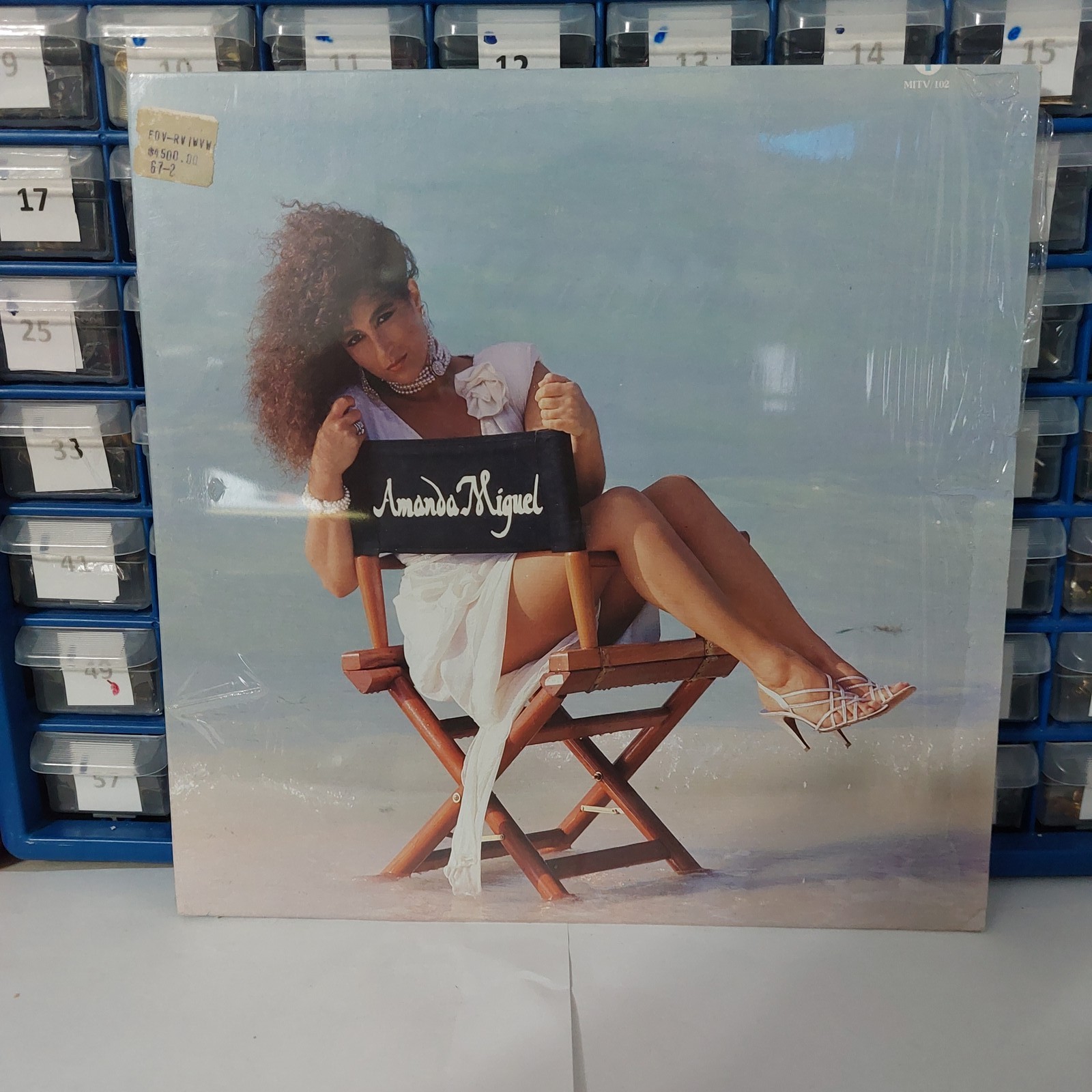 Amanda Miguel Self Titled LP Latin Pop Cheesecake Cover Vintage Spanish Vinyl