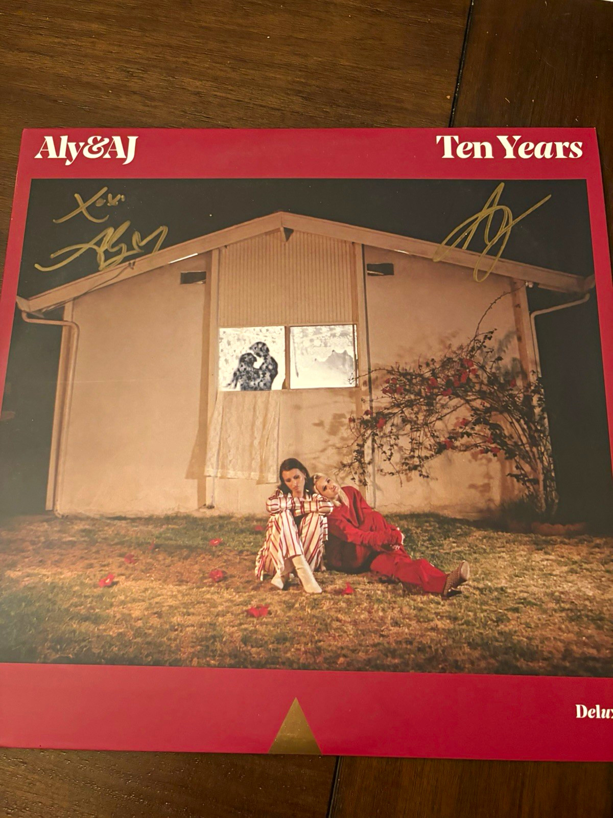 Aly & AJ Ten Years Deluxe Edition Vinyl Record Pop Album Aly & AJ Music, LLC