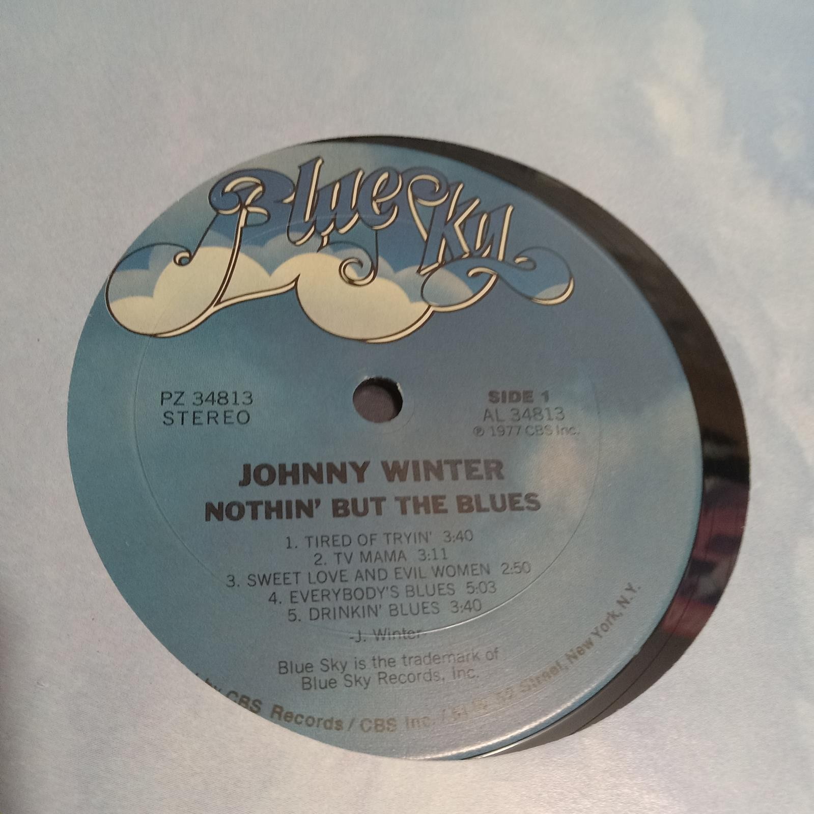 Johnny Winter Nothin But The Blues 1977 Blue Sky PZ34813 Stereo Muddy Waters VG+