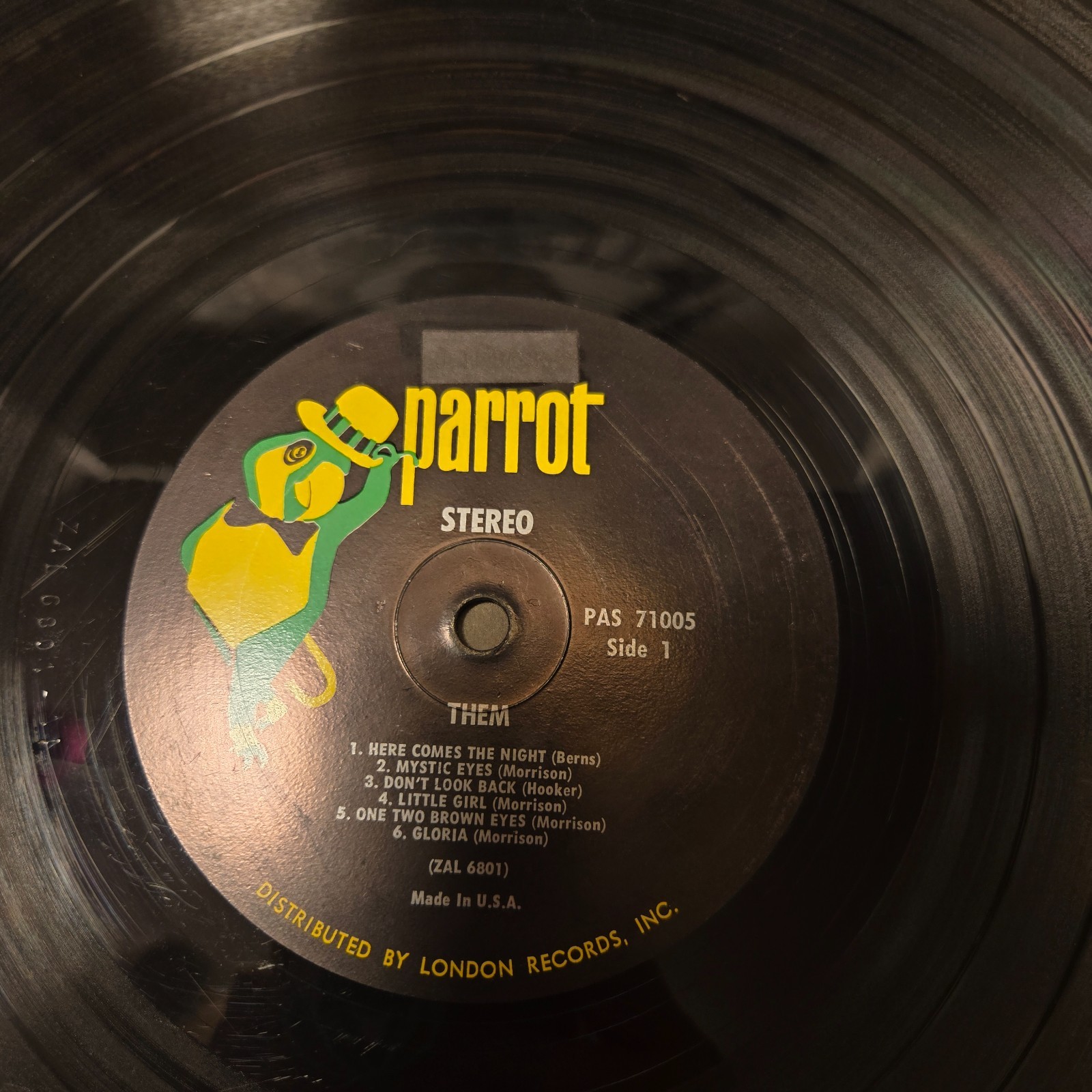 THEM Here Comes the Night LP 1965 US Stereo Parrot Rare Psych Van Morrison
