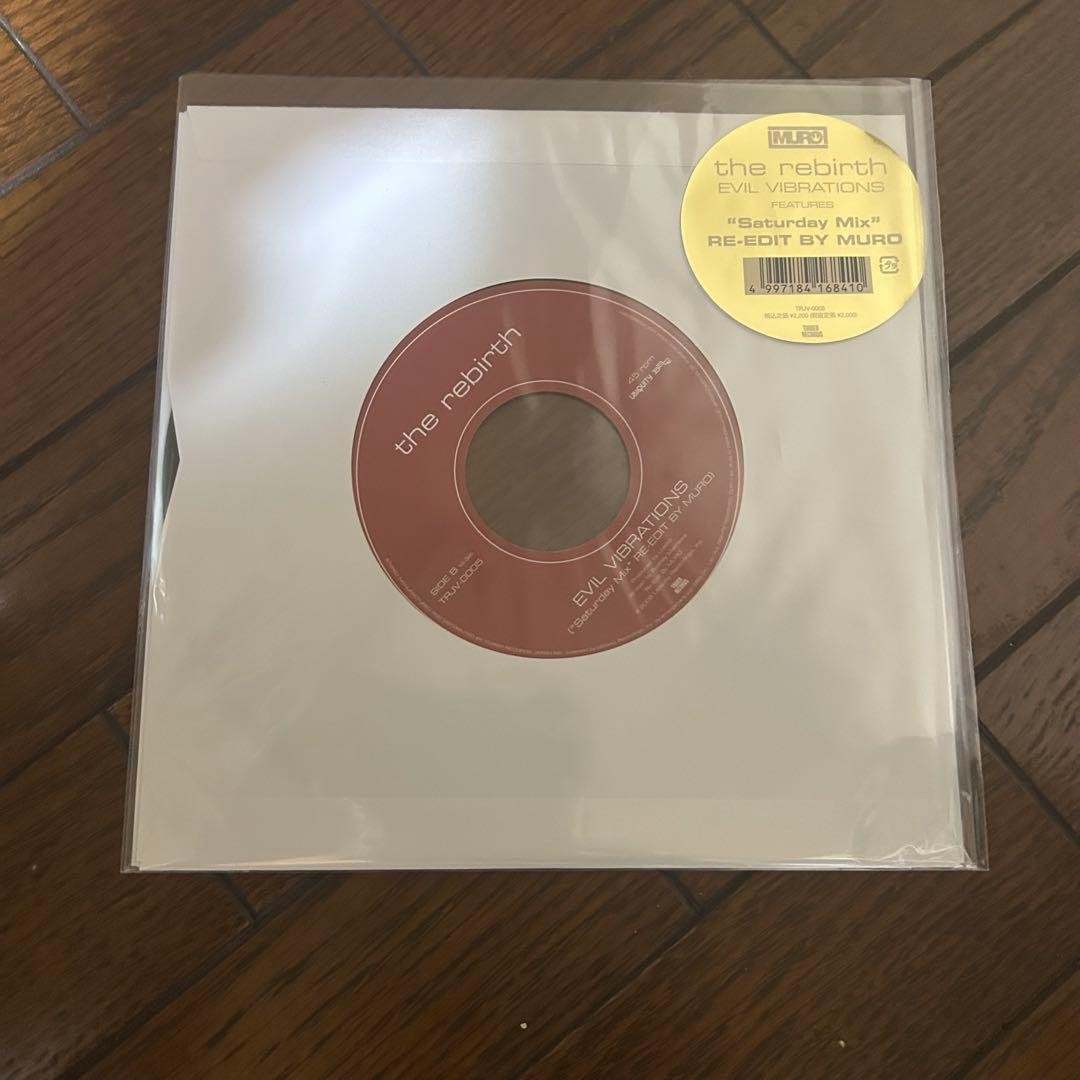 The Rebirth Evil Vibrations 7″ Vinyl Record Near Mint Groove Collection
