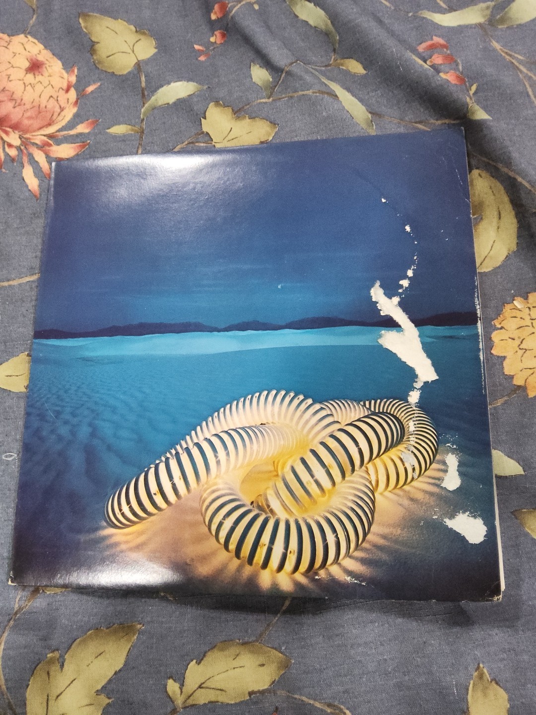 EDGAR WINTER GROUP with RICK DERRINGER ~ LP 1975 PZ 33798 PROMO