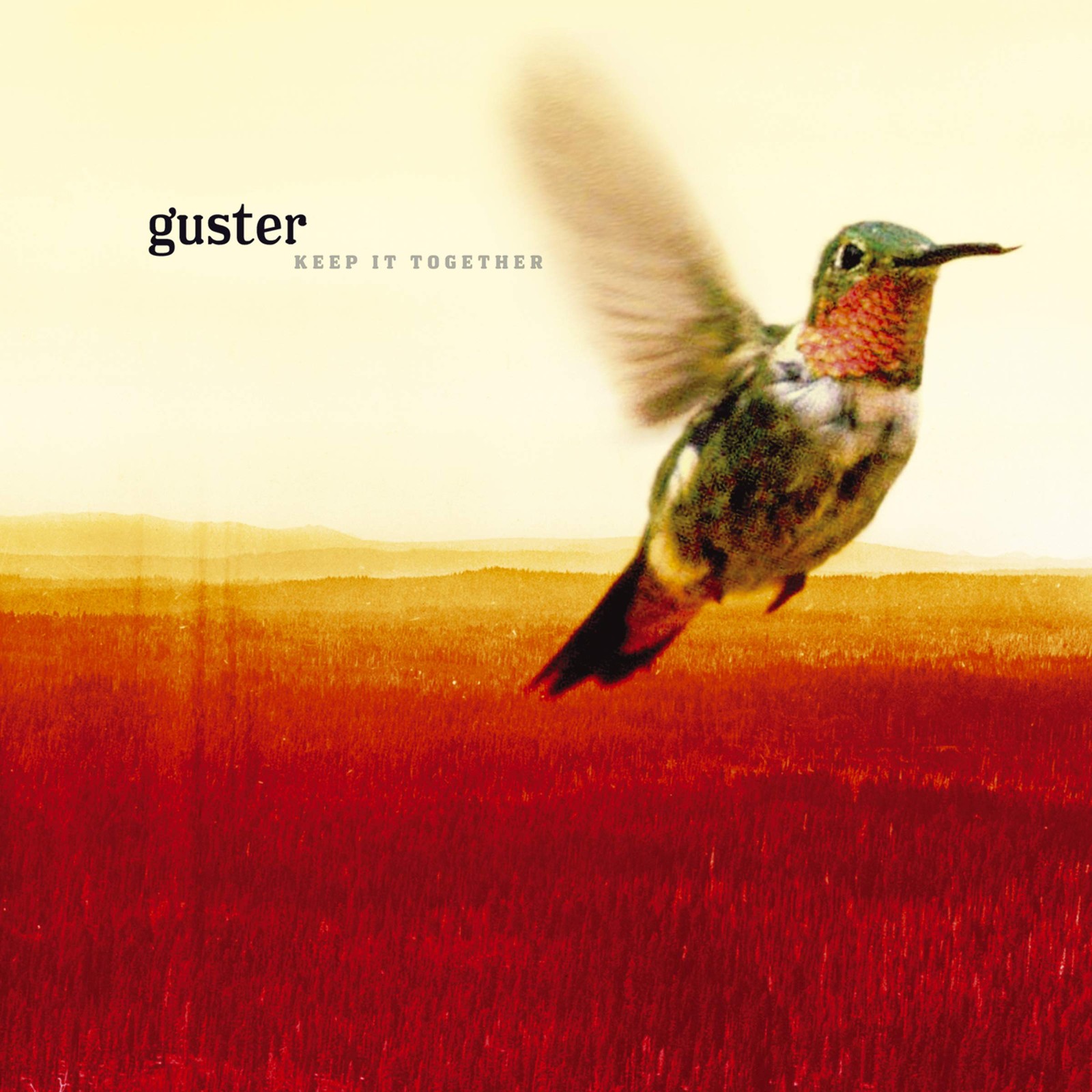Guster On The House Lp New