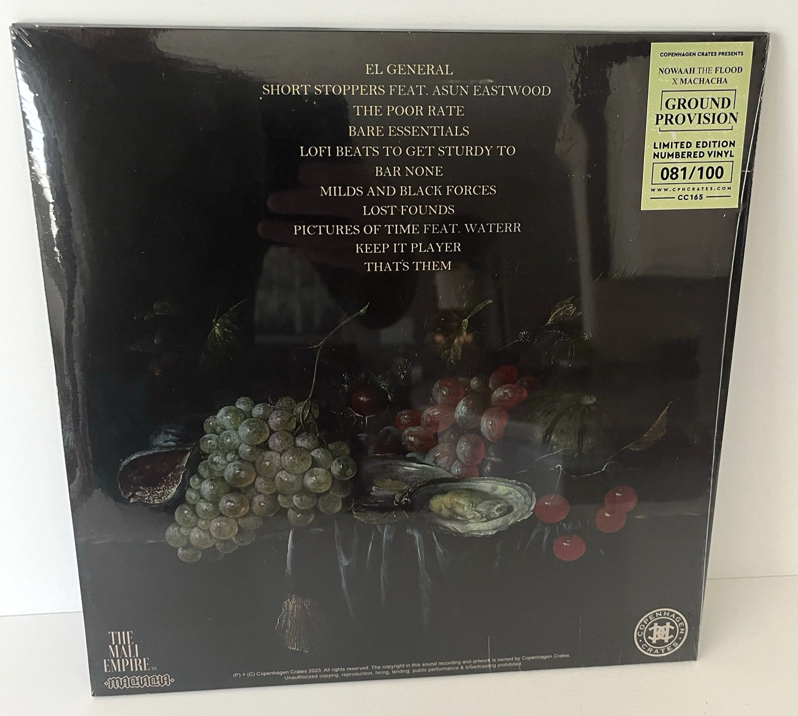 NOWAAH THE FLOOD x MACHACHA – GROUND PROVISION Ltd Edition Colored Vinyl NEW
