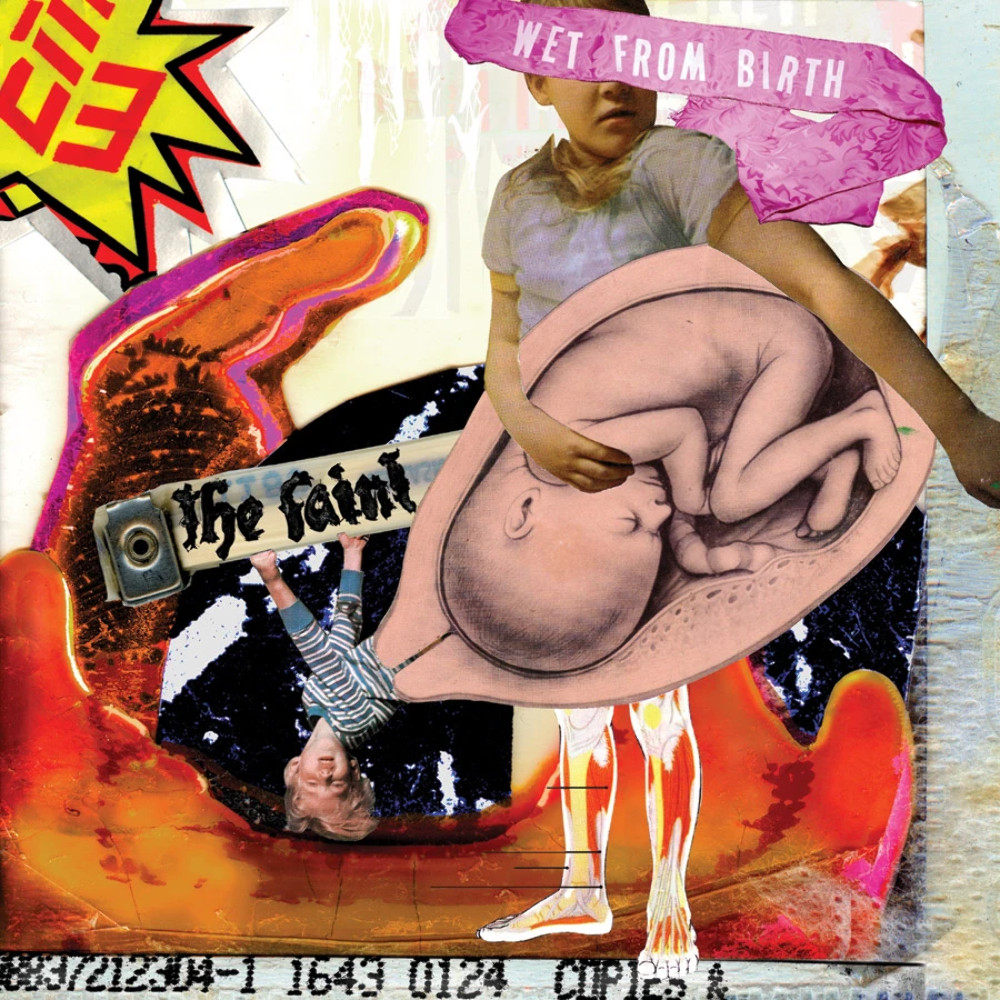 The Faint – Wet From Birth NEW Sealed Vinyl LP Album