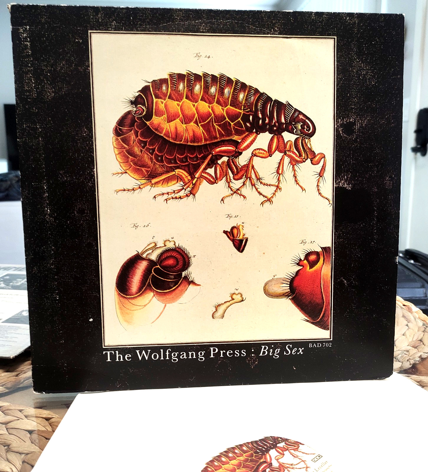 The Wolfgang Press – Big Sex / 4AD–BAD 702 (1987) / OG EP/Electronic, Post-Punk