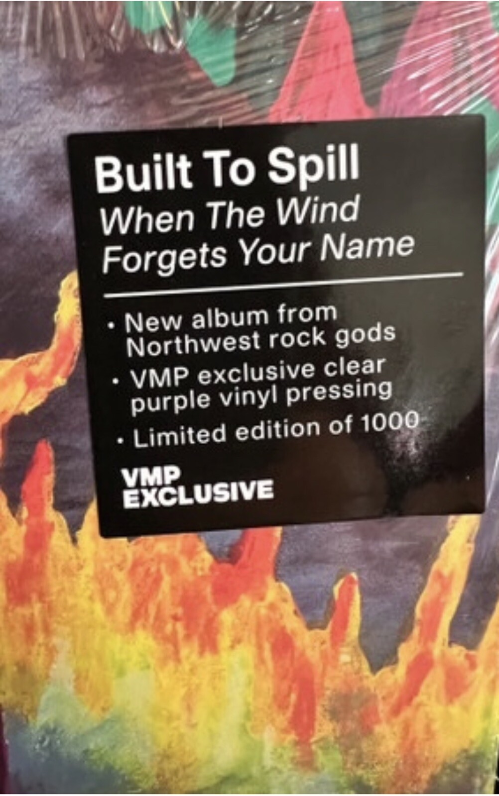 When The Wind Forgets Your Name Built to Spill (2022) New Purple Vinyl #1/1000
