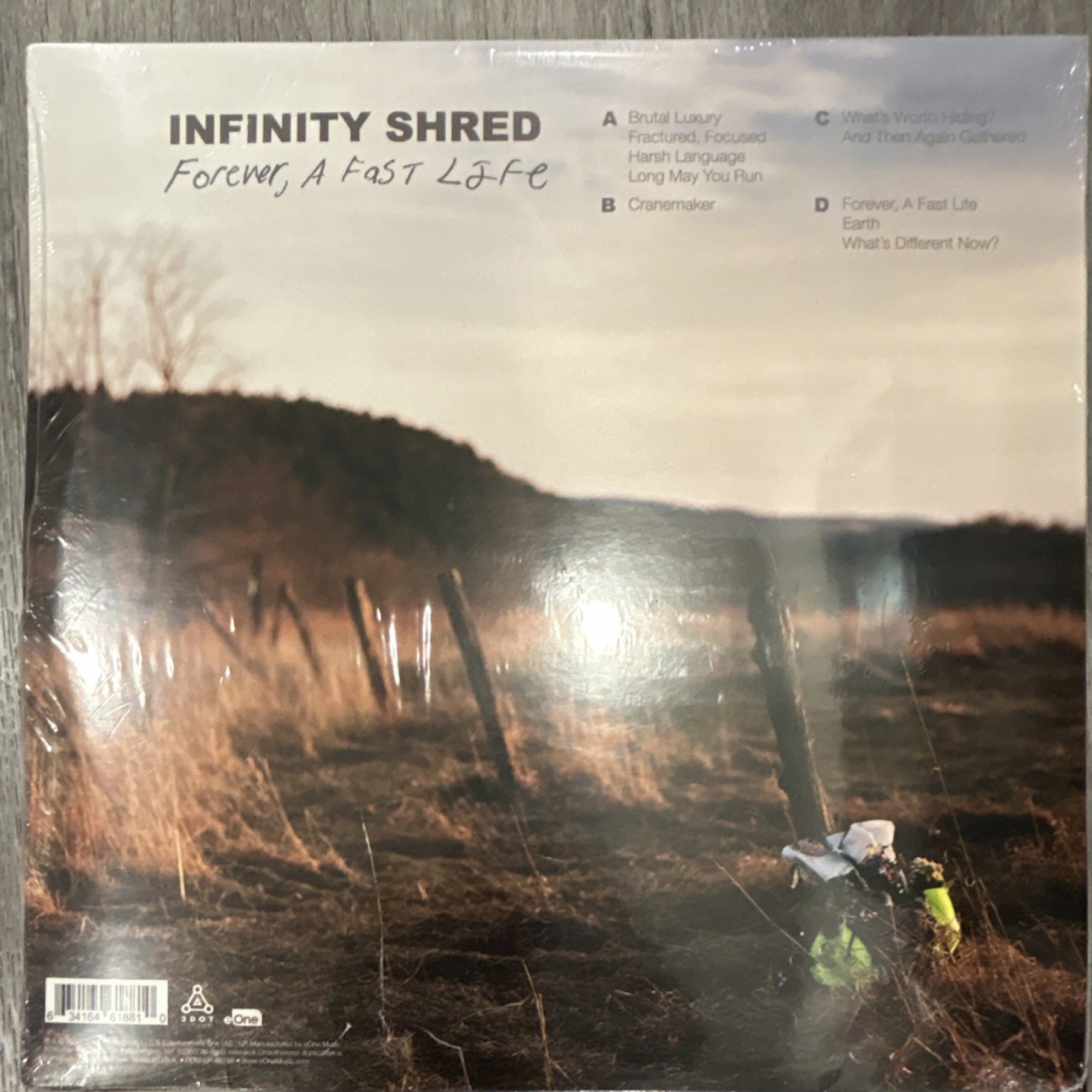 Infinity Shred Forever, A Fast Life LP Vinyl Record Dots Per Inch Electronic