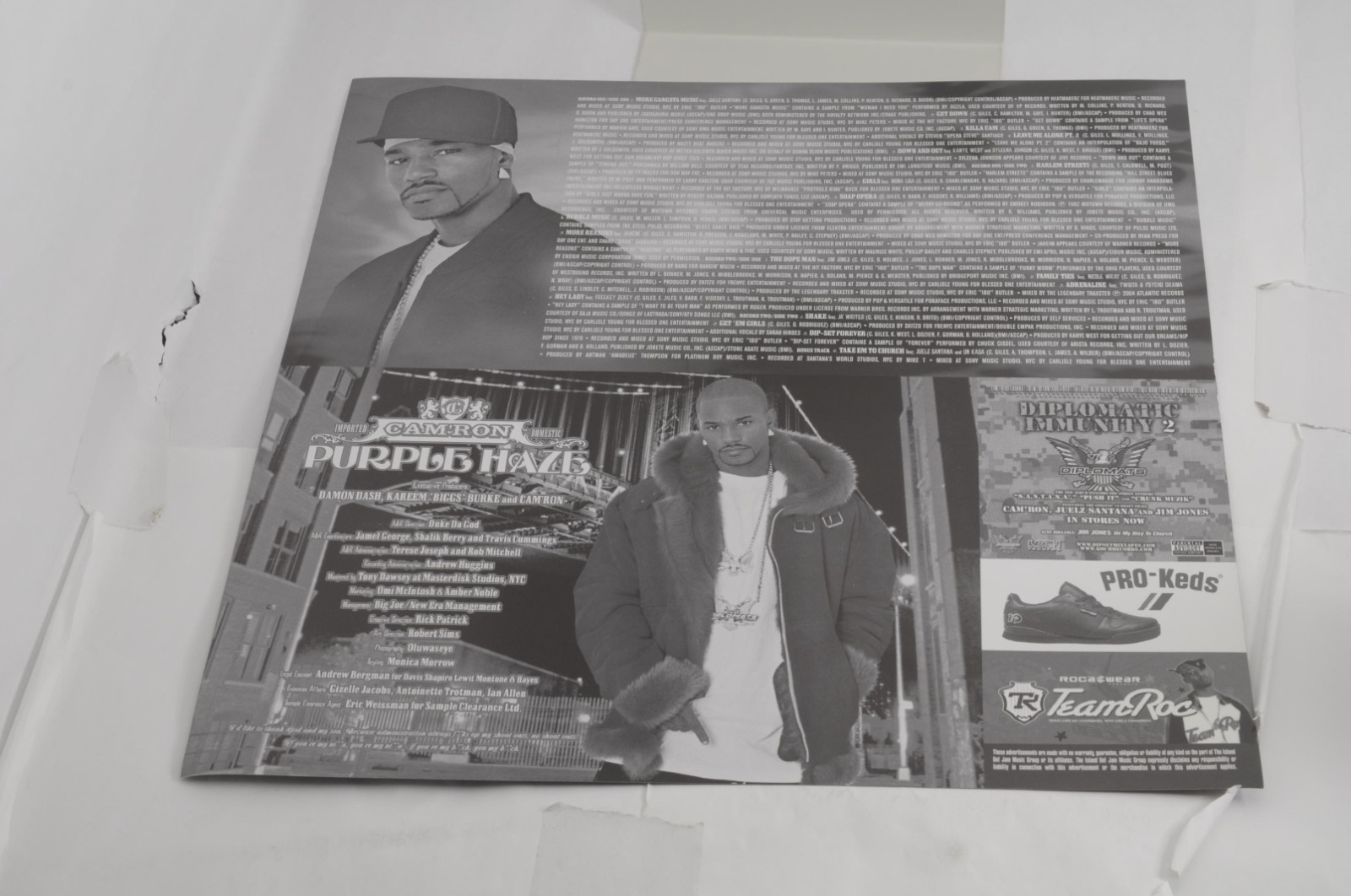 Cam’ron – Purple Haze RAF Records 2004 Us Original ( 2LP/NM/NM)”237