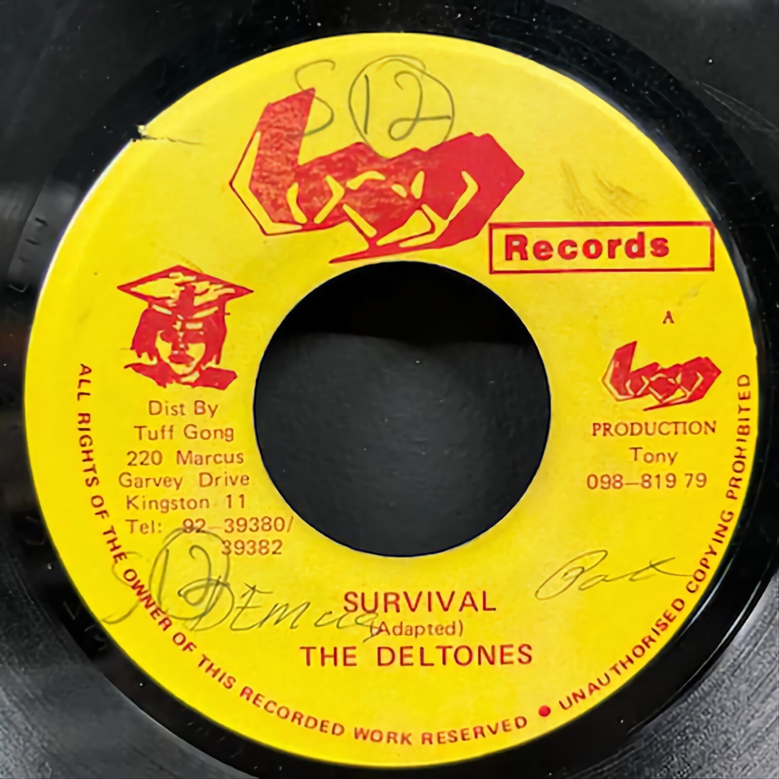 The Deltones ‎– ‘Survival’ 7″ Single Jamaica Lucy Records Tuff Gong Reggae 45 x
