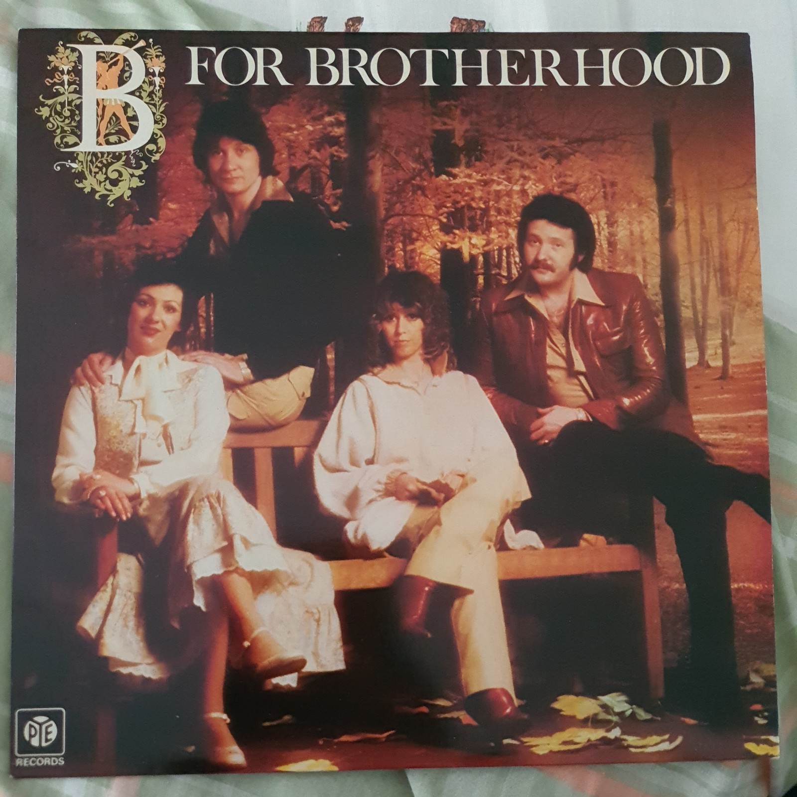 Brotherhood Of Man-B For Brotherhood 1978 Vinyl LP Pye NSPL 18567