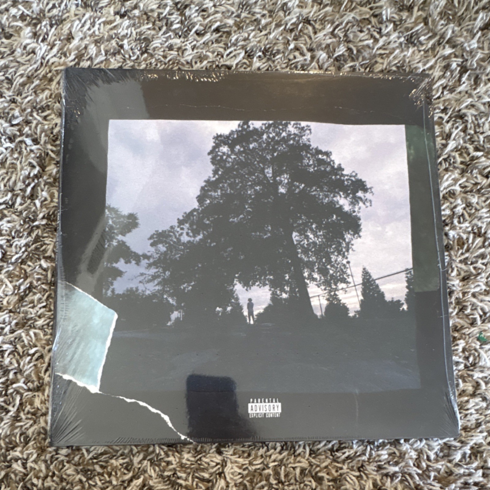 J. Cole 4 Your Eyez Only 12″ Vinyl LP Hip-Hop Dreamville English Explicit