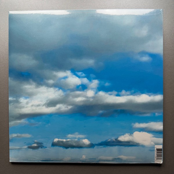 30 Seconds To Mars – It’s The End Of The World But It’s A Beautiful Day (LP) (Mi