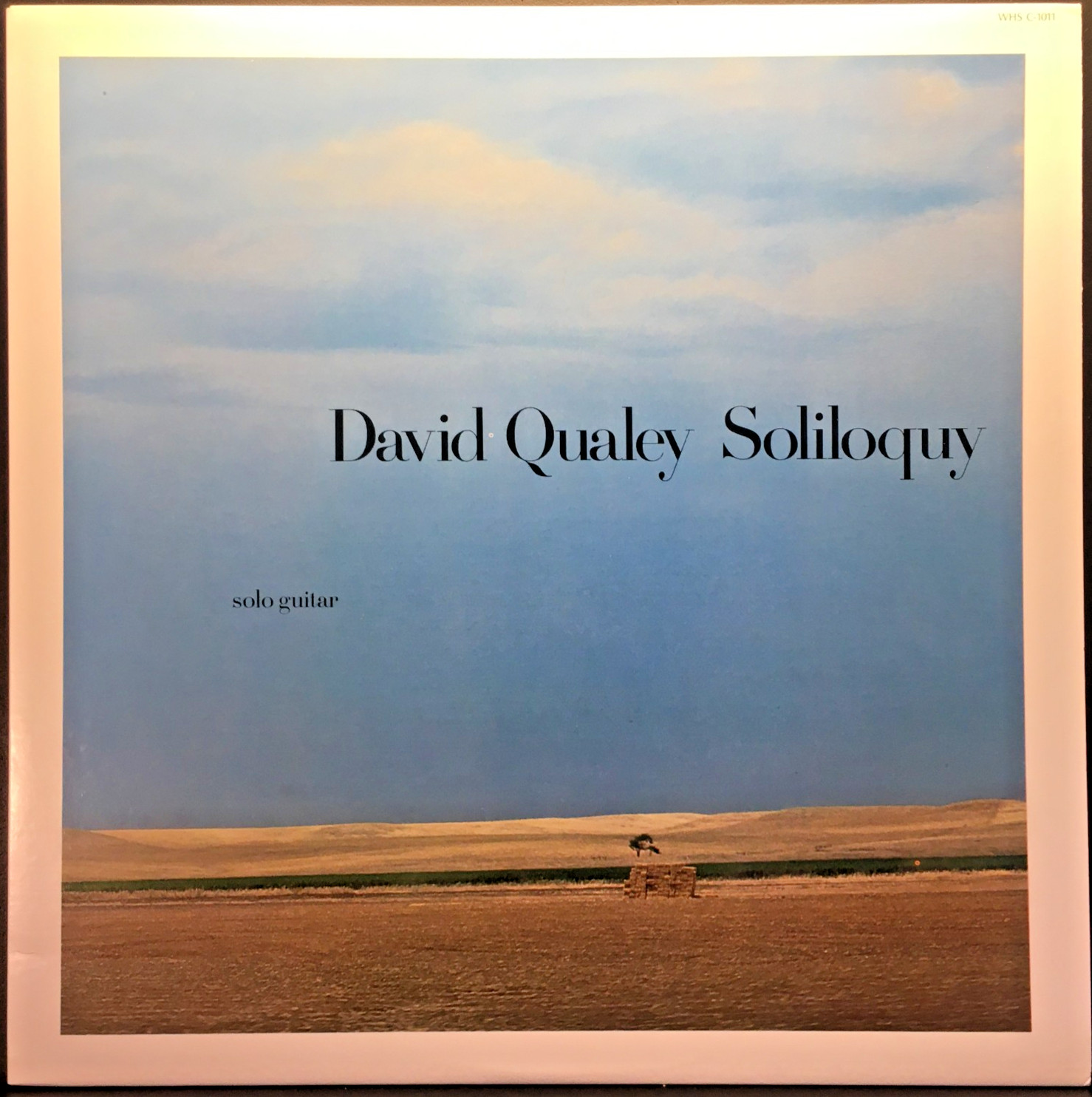 David Qualey “Soliloquy” Windham Hill Virtuostic Fingerstyle Acoustic Guitar NM