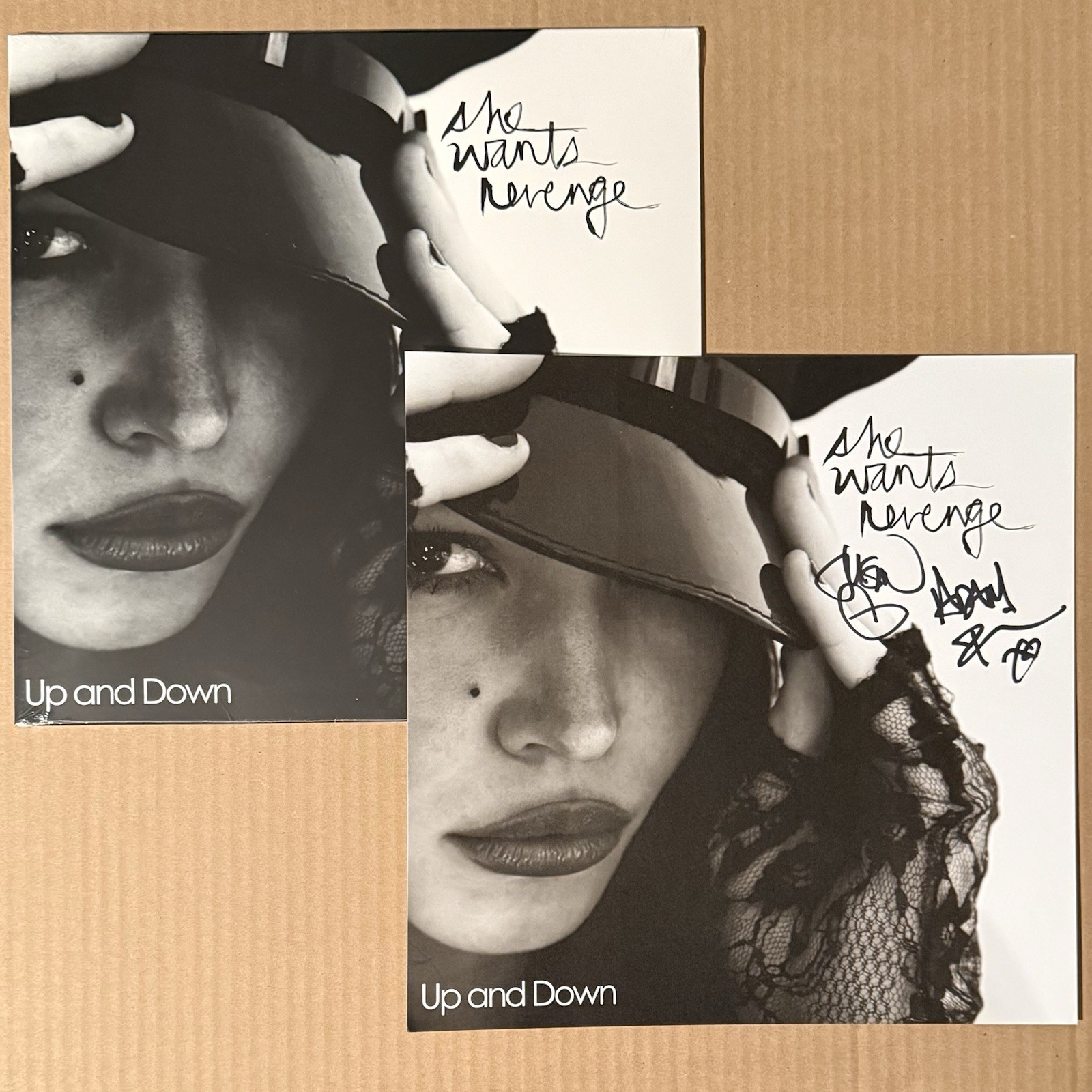 SIGNED She Wants Revenge – Up and Down Vertigo Vinyl VV Exclusive /100 IN HAND✅