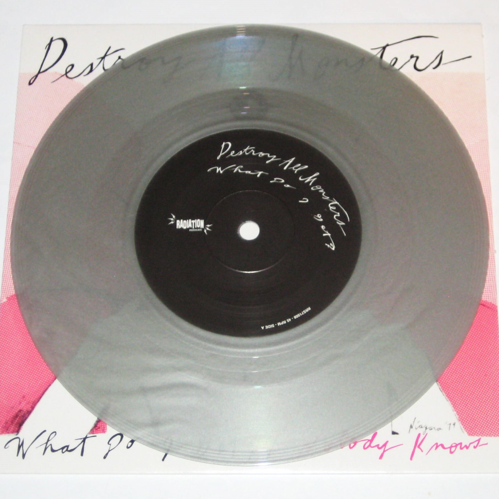 DESTROY ALL MONSTERS What Do I Get?/Nobody Knows ITALIAN Grey Vinyl Punk 7″ RARE