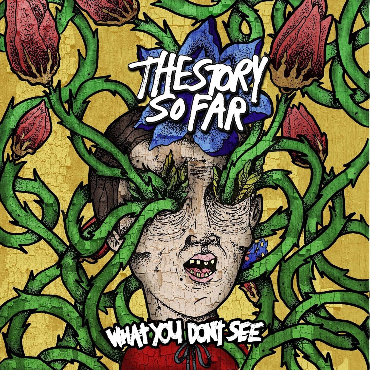 The Story So Far What You Don’t See (Vinyl) 12″ Album Coloured Vinyl