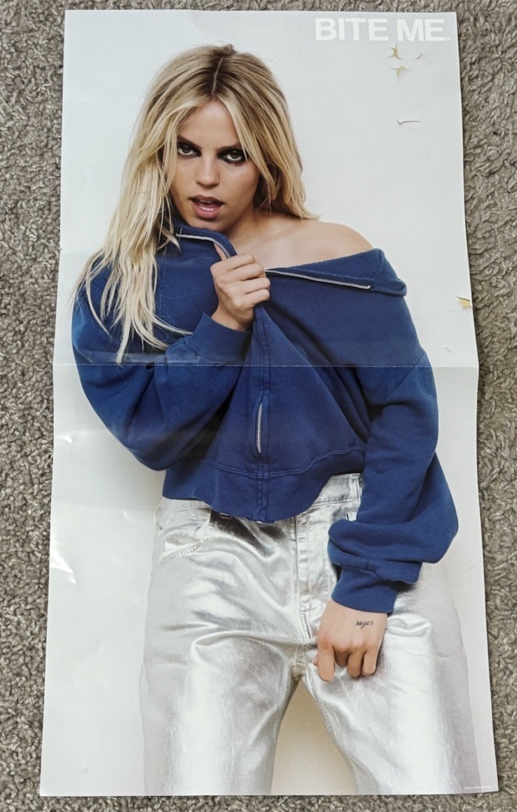 Renee Rapp Bite Me Vinyl Record Poster 21 Inches X 11 Inches