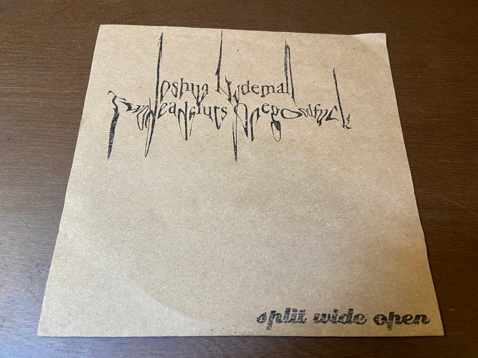 Joshua Hydeman~Twodeadsluts Onegoodfuck~Split wide open~7″ NOISE Electronic Rock