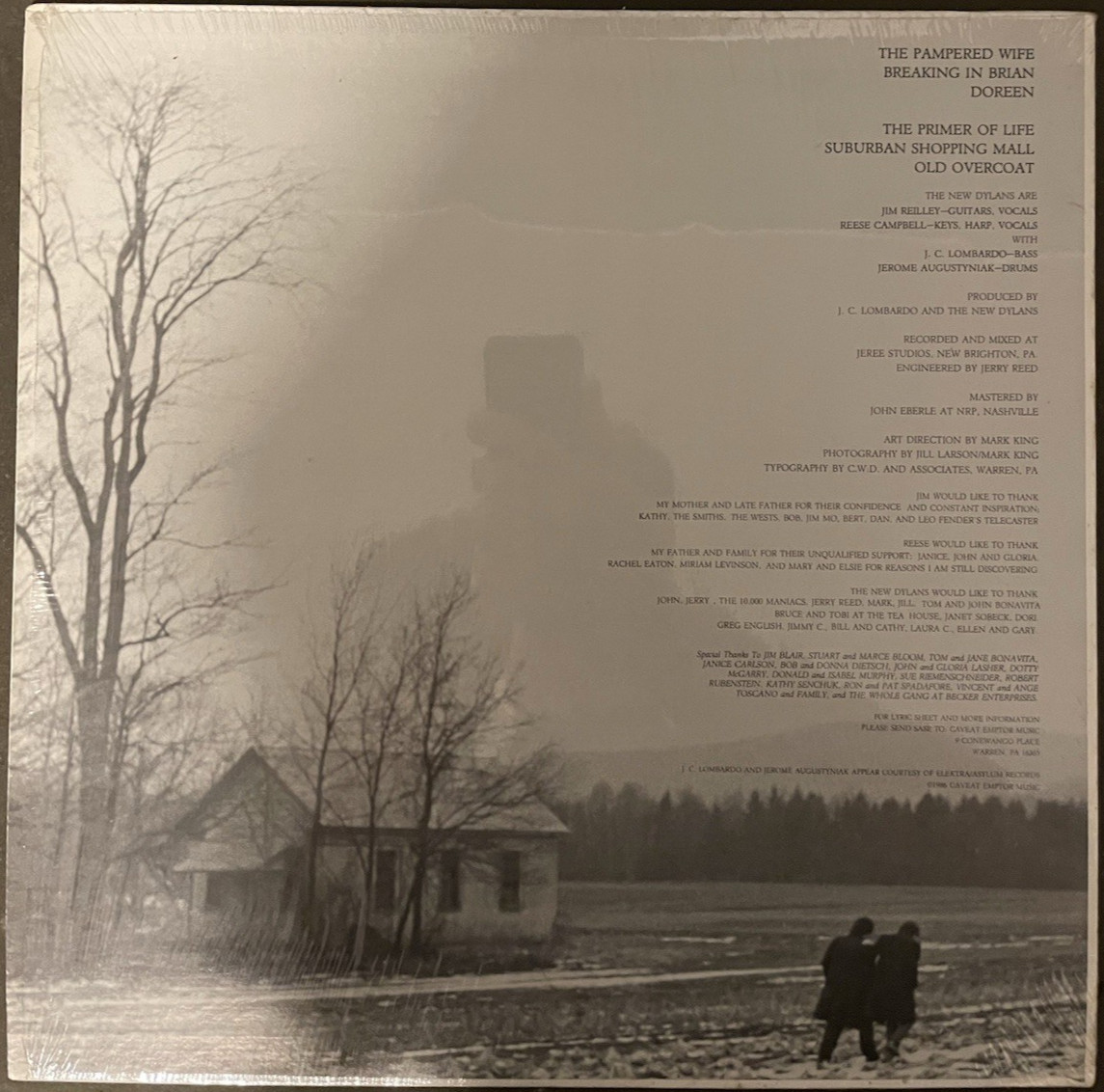 The New Dylans- Title Album- Vinyl Mini-LP (Caveat Emptor Music) (1986)
