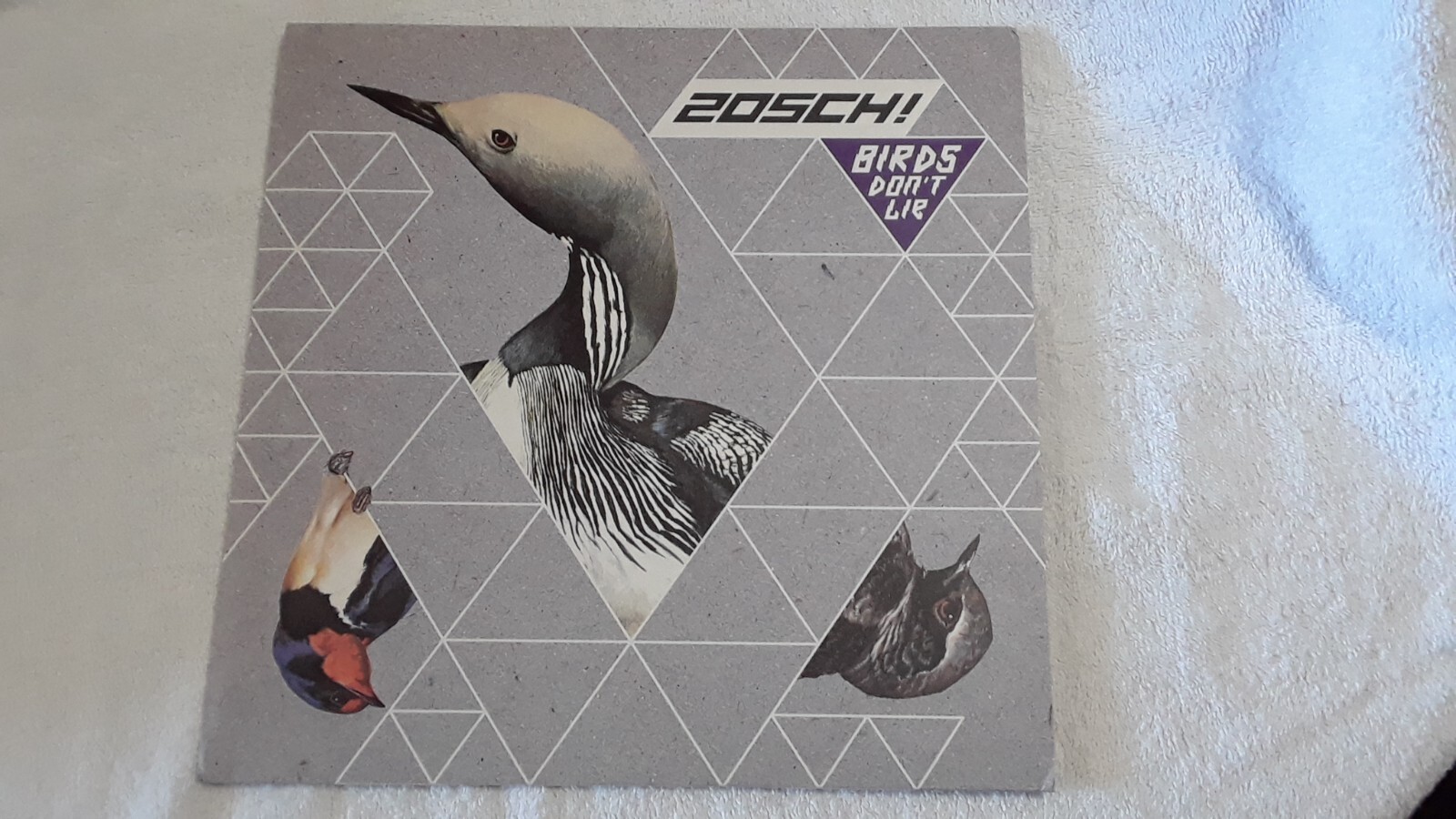ZOSCH! Birds Don’t Lie LP Contraszt! Germany Lost Sounds Le Tigre Bikini Kill