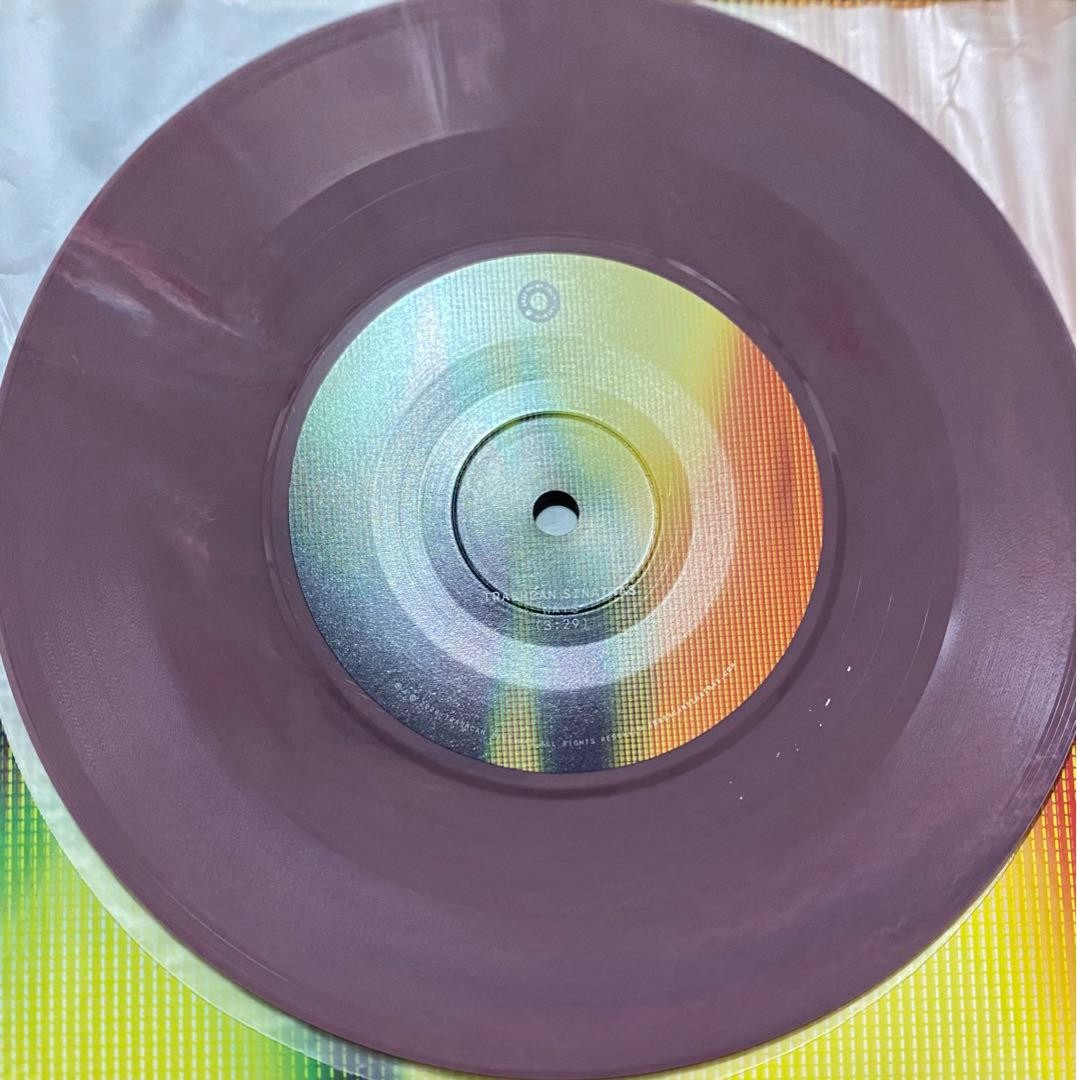Neo Acoustic 7Inch Record Trash Can Sinatras