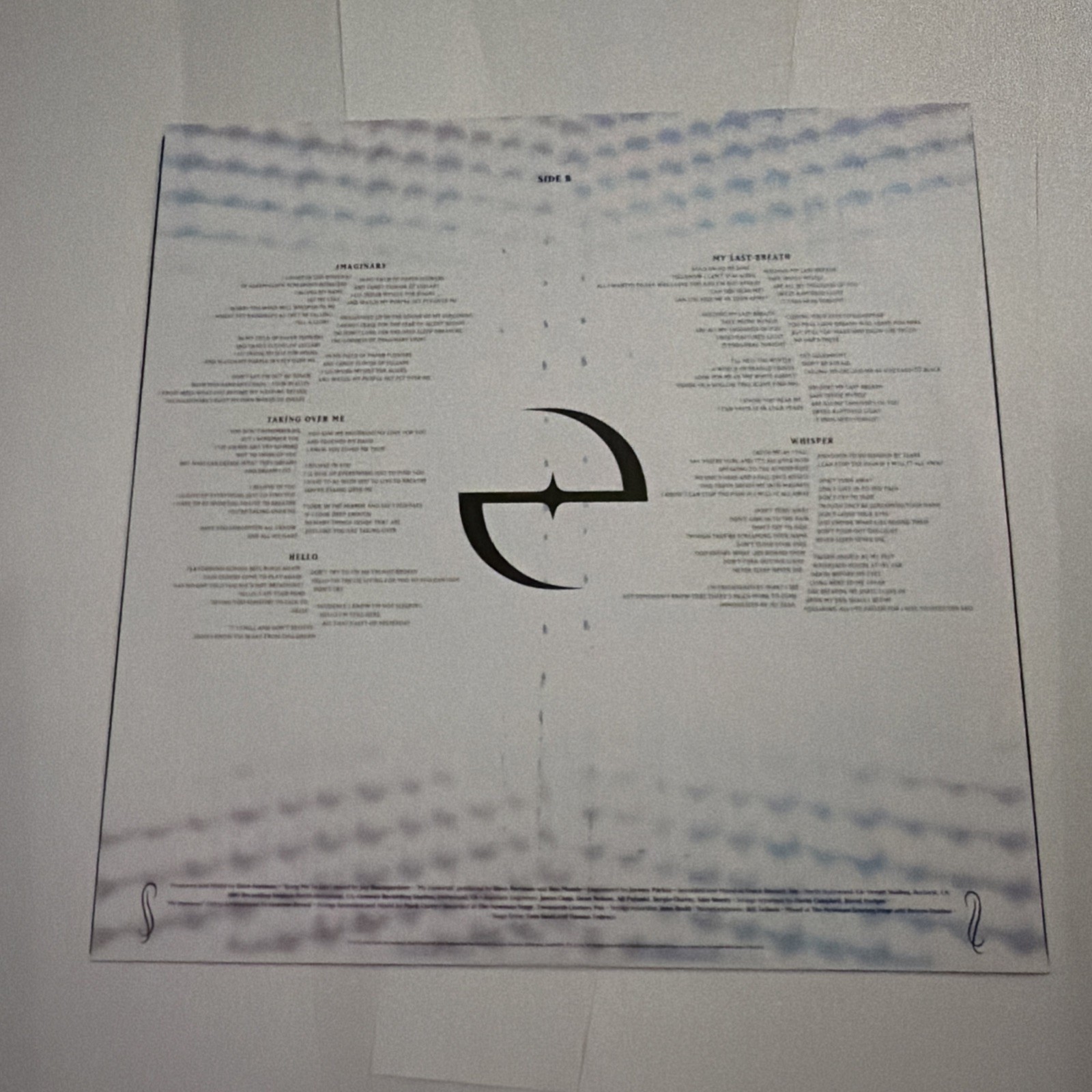 Fallen (20th Anniversary) by Evanescence (Record, 2023) NEW But OPPENED