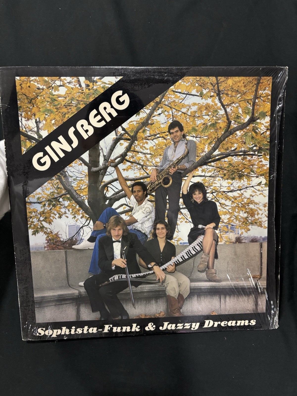 Ginsberg Sophista-Funk & Jazzy Dreams LP 12″ Vinyl Jazz-Funk 1983 SF2001