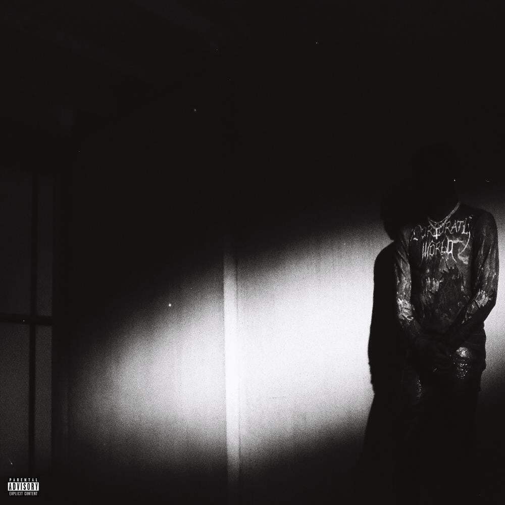Destroy Lonely No Stylist [Black Vinyl]