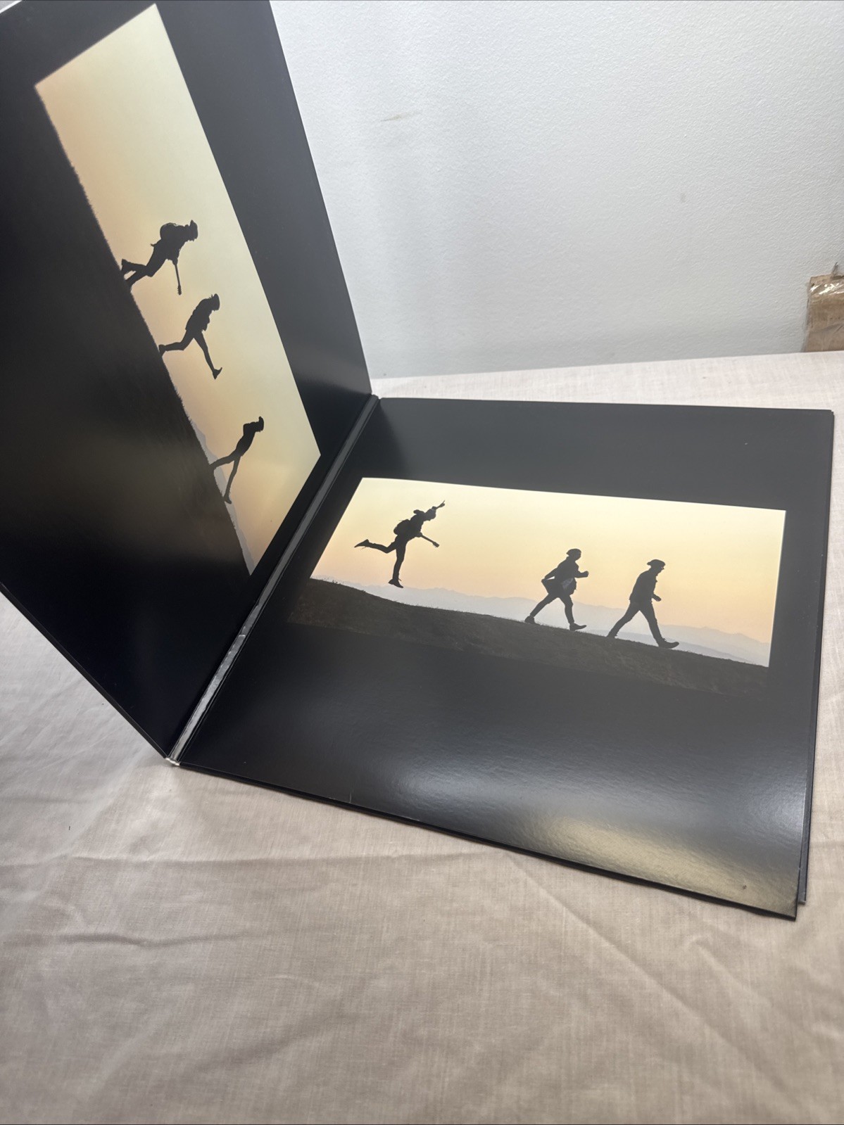 Brandi Carlile / By The Way, I Forgive You 2018 Vinyl LP NM/NM Record Album