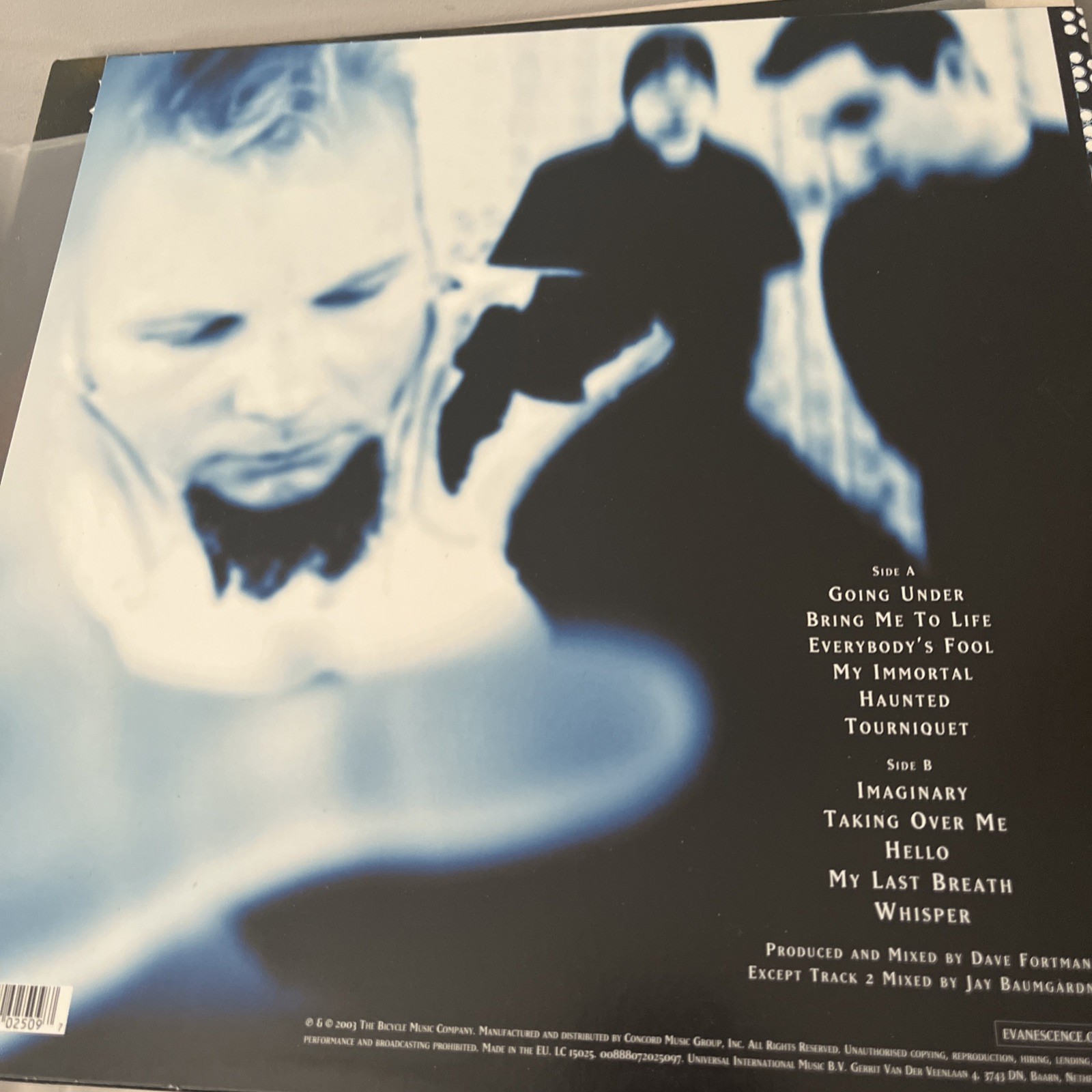 Evanescence – Fallen [VINYL]